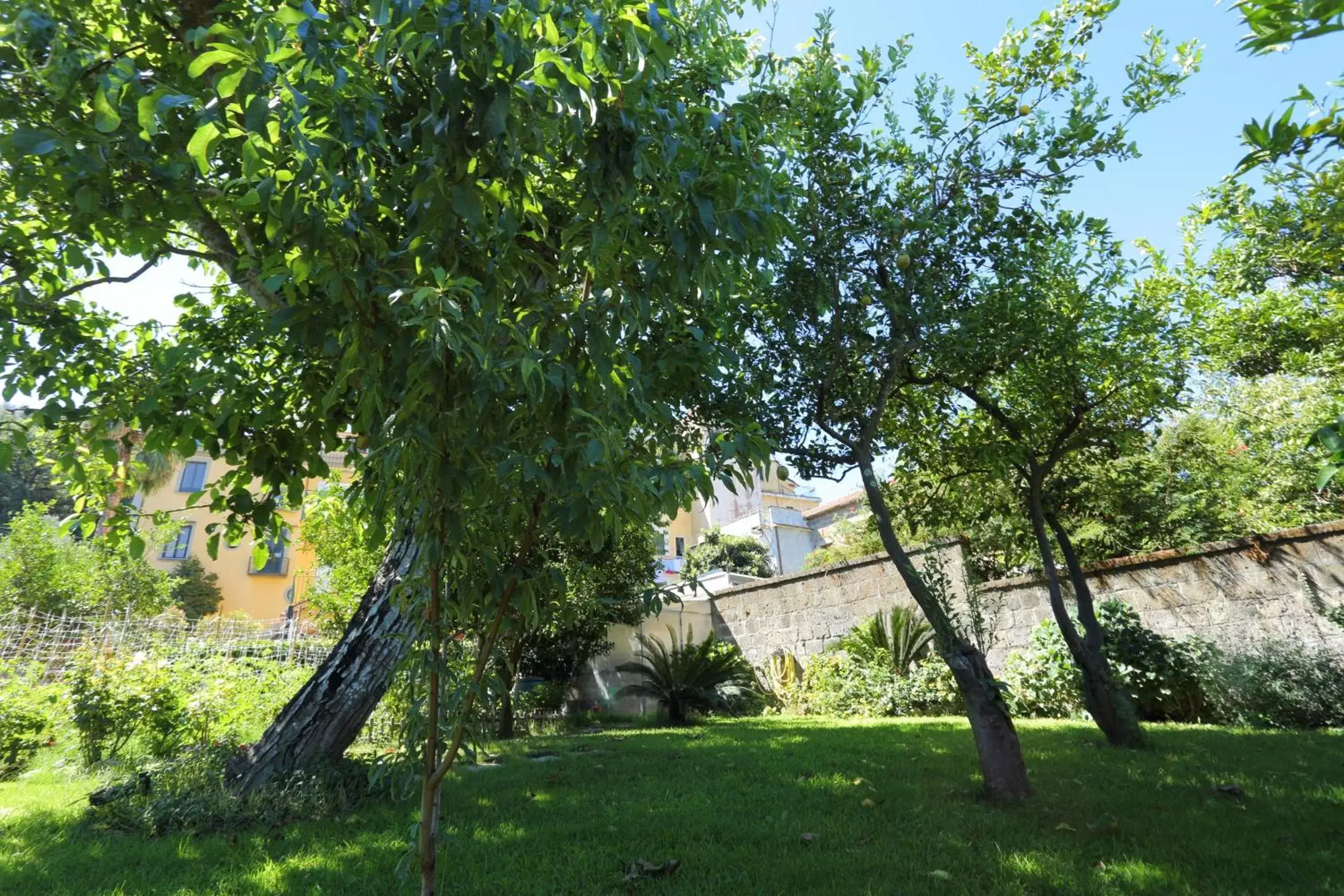 Property building, Garden in Ambrosio Relais