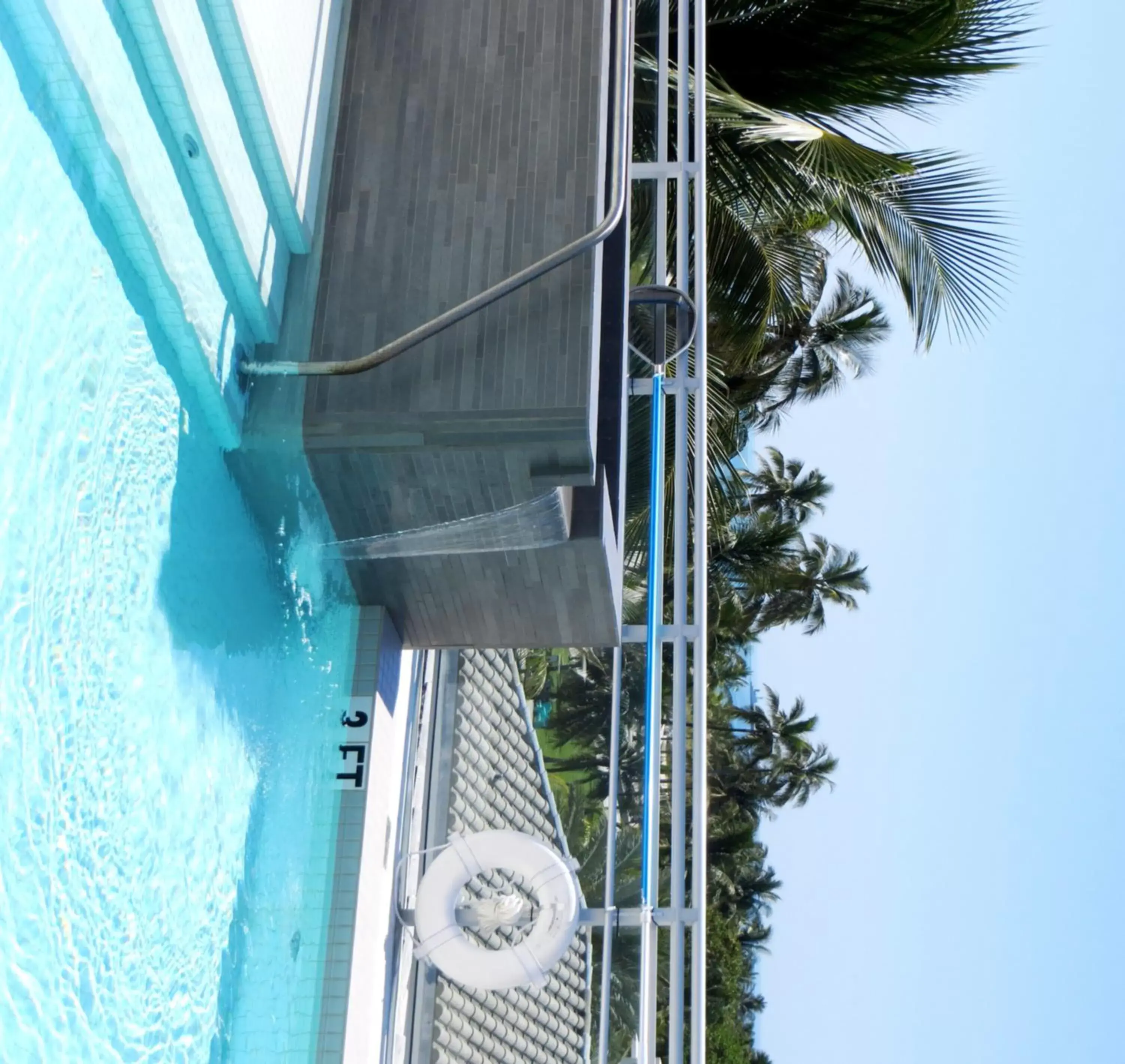 Swimming pool, Pool View in Leslie Hotel Ocean Drive