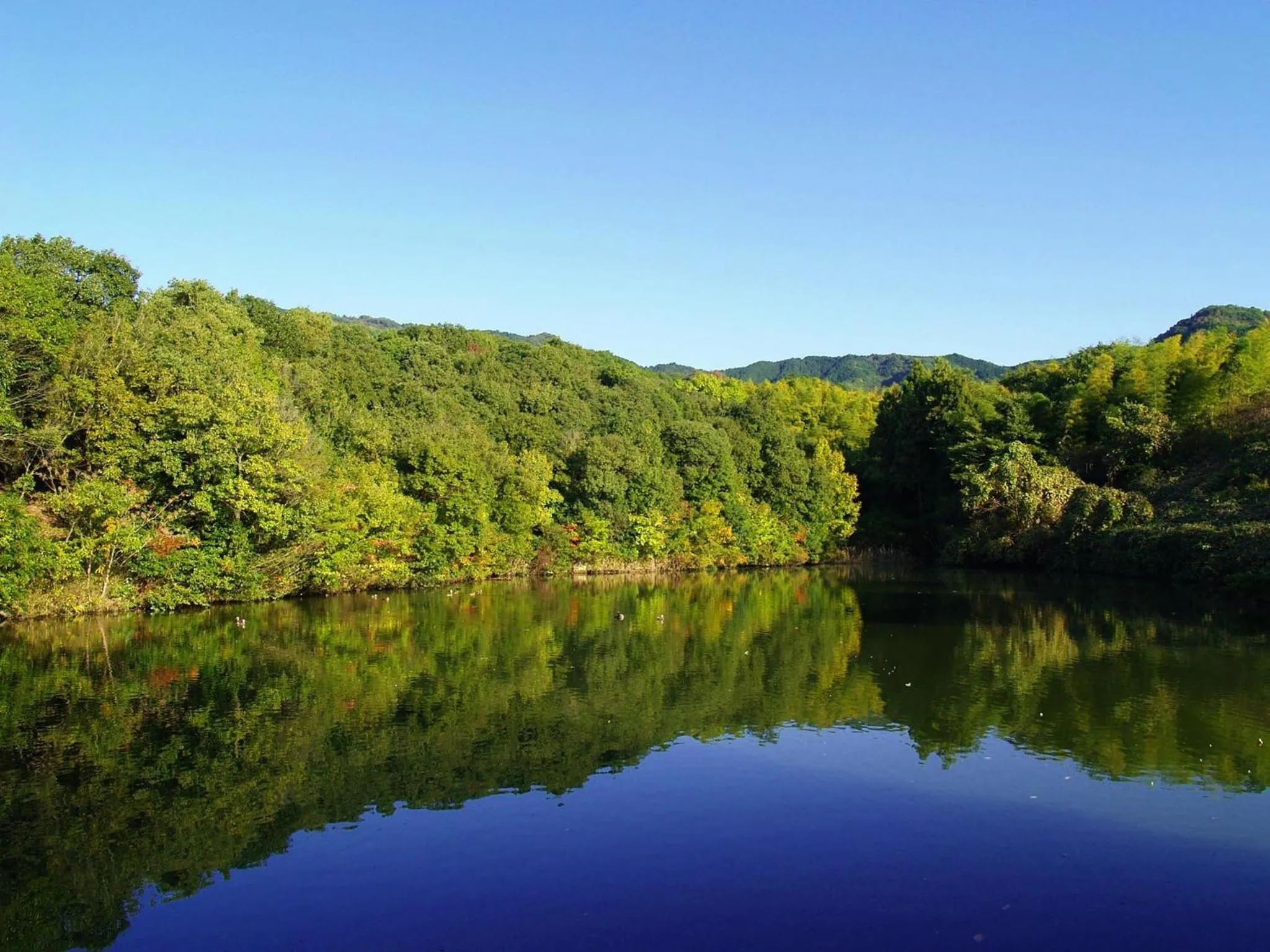 Off site in Guesthouse Nara Komachi