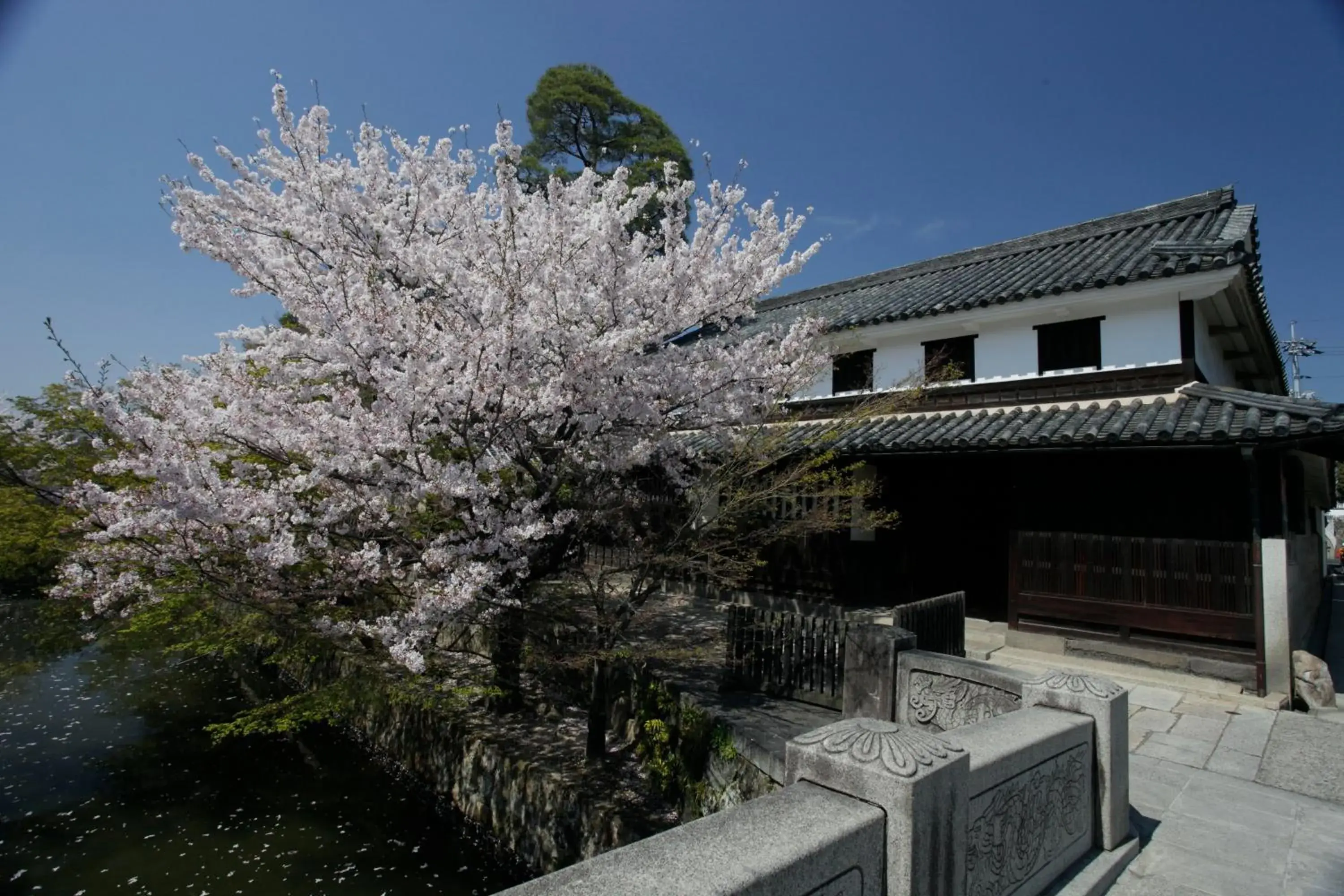 Spring, Property Building in Ryori Ryokan Tsurugata Hotel