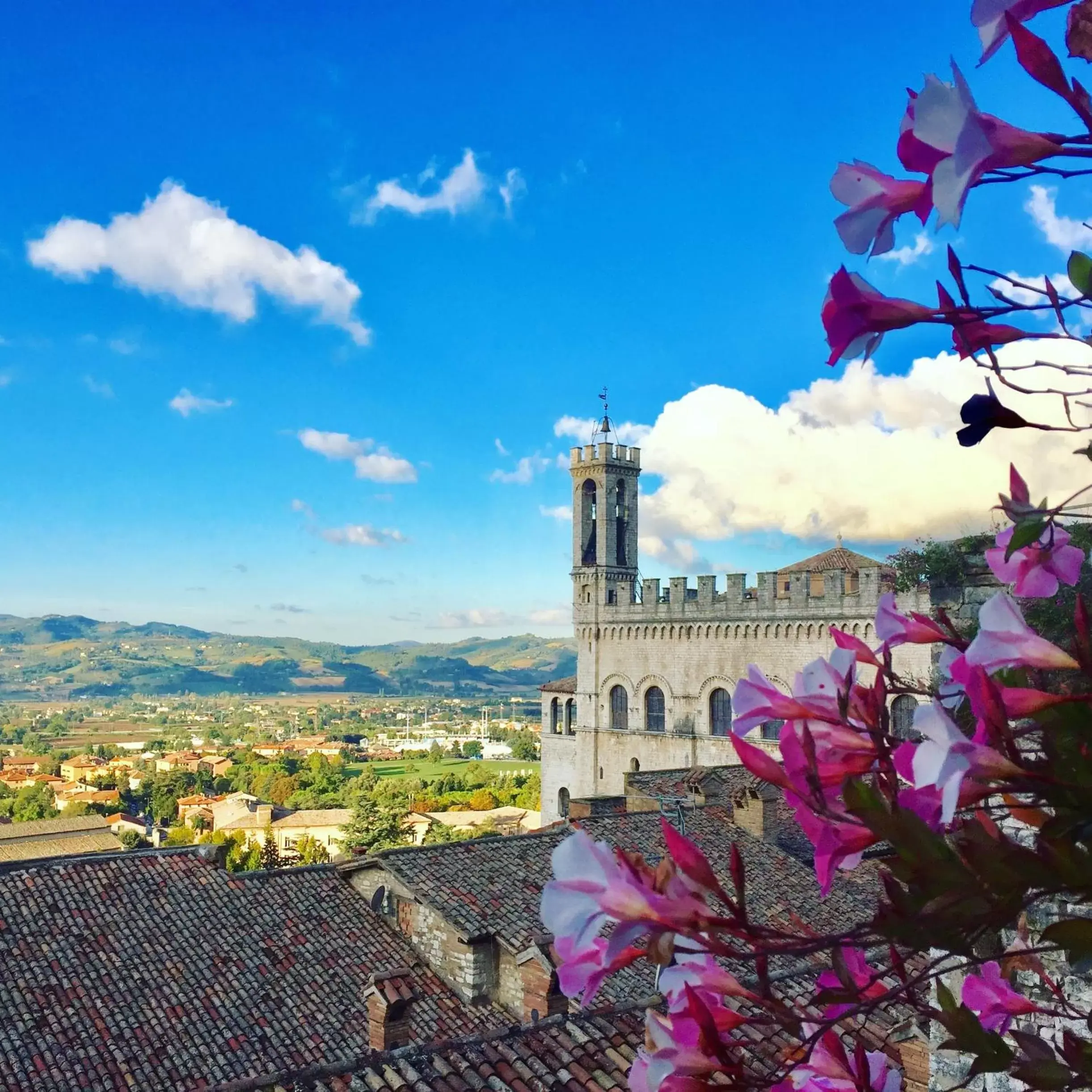 View (from property/room) in Relais Ducale