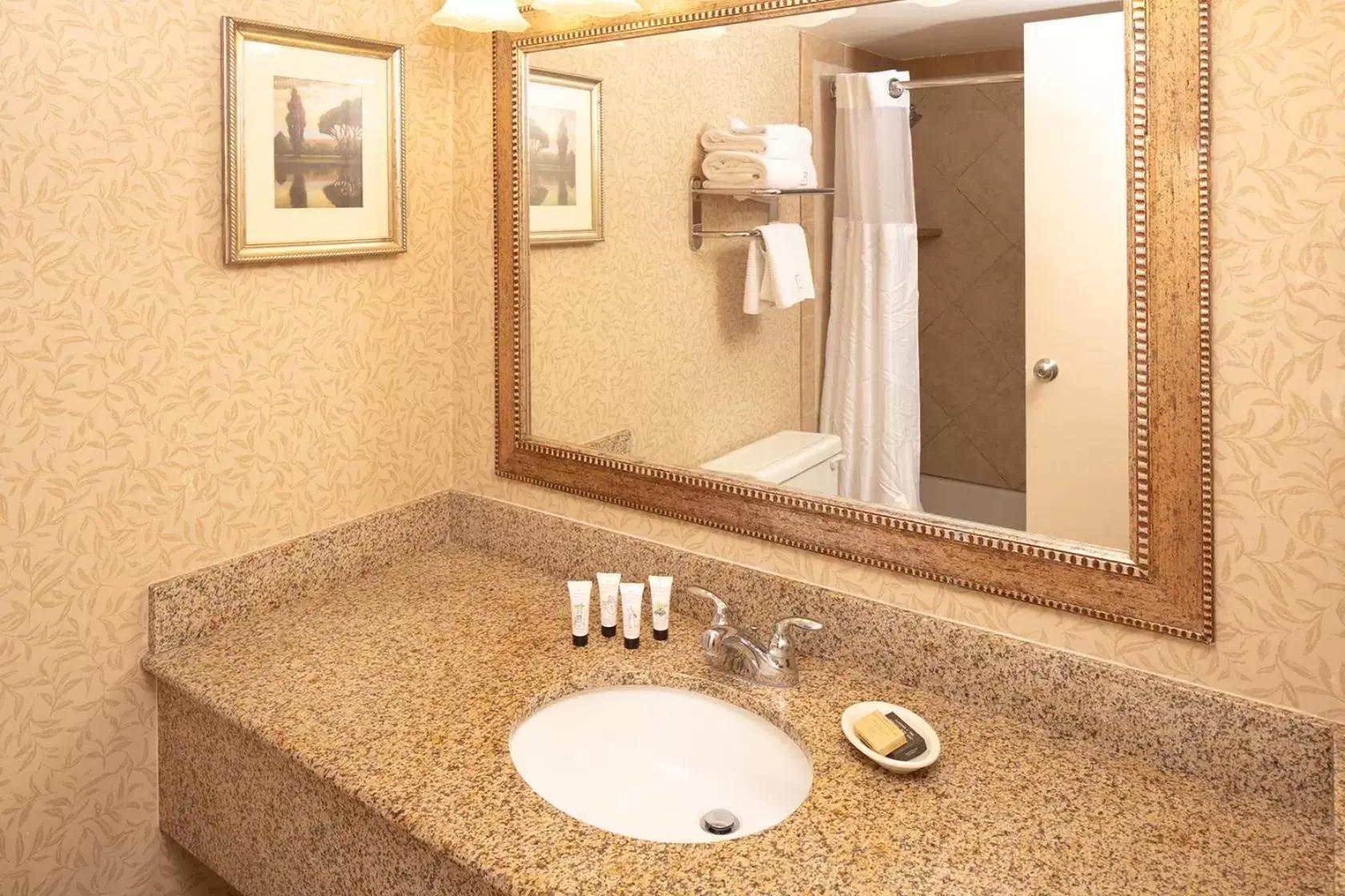 Bathroom in Red Lion Hotel Pocatello