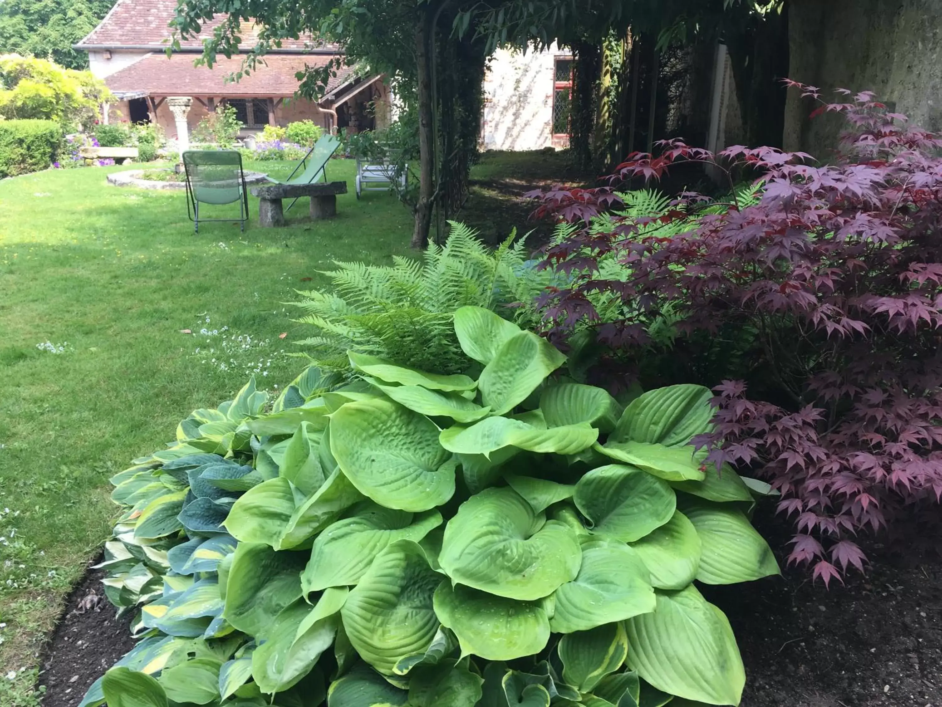 Garden in Demeure des Vieux Bains