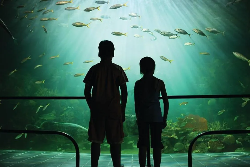 Guests in Hotel Posada del Carmen