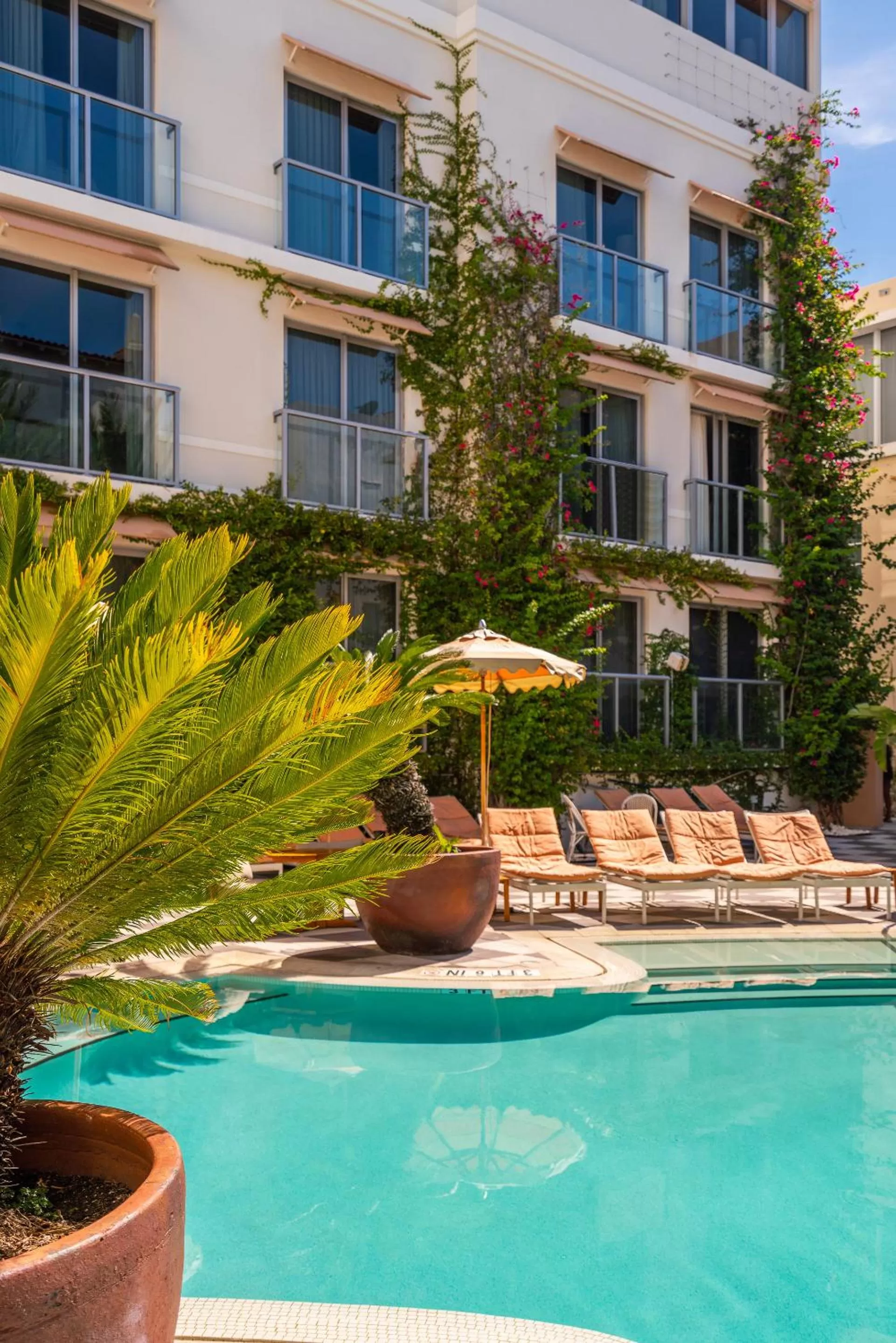 Swimming pool in The Plymouth South Beach