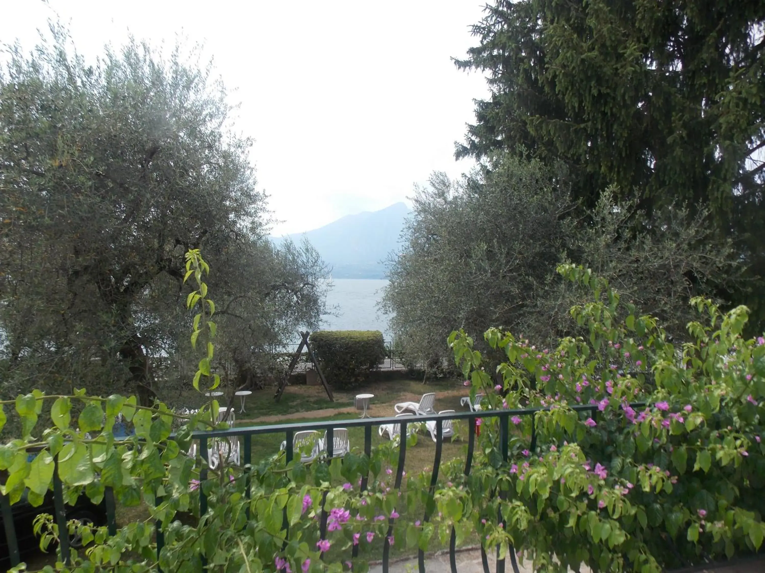 Garden, Swimming Pool in Hotel Internazionale