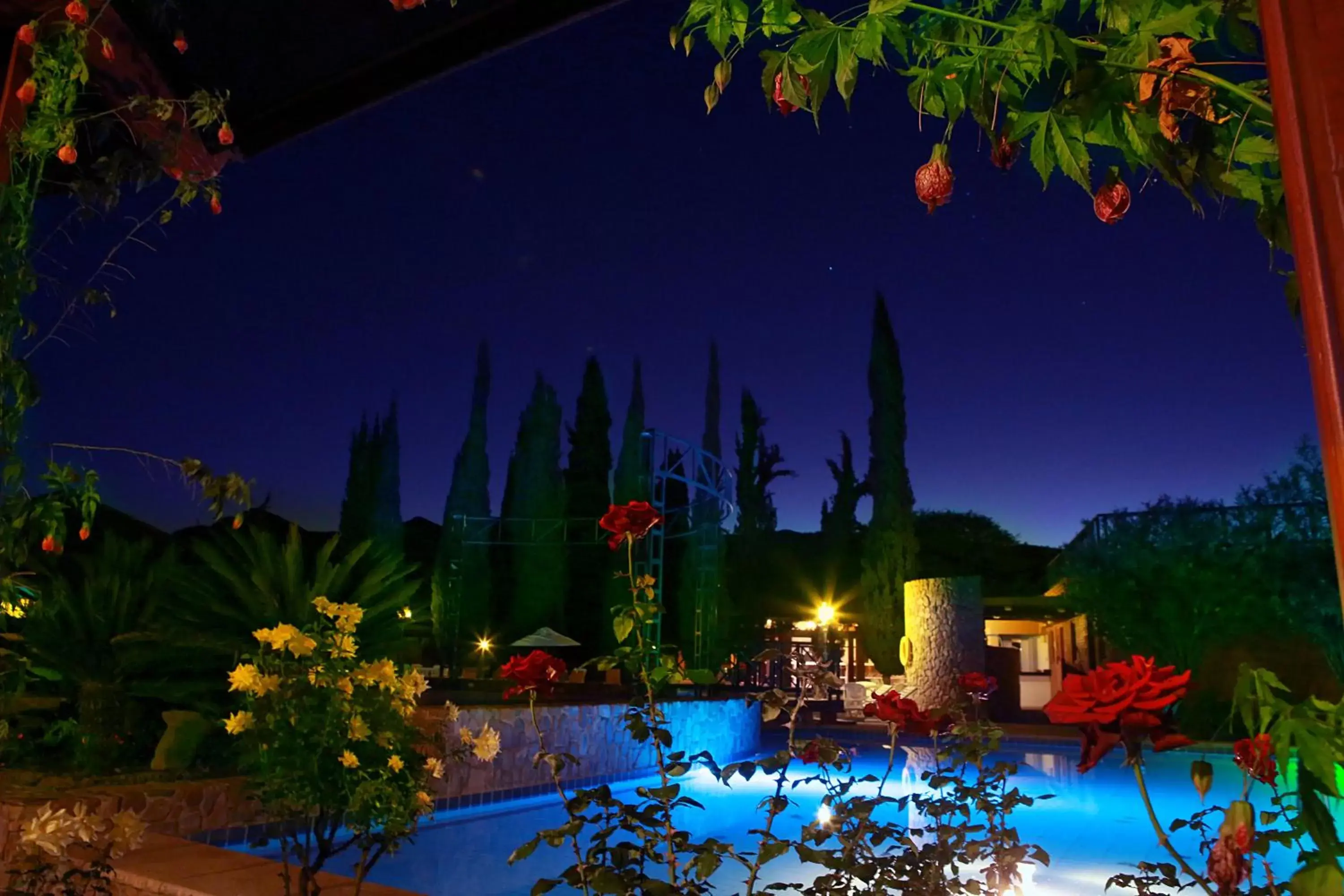 Garden, Swimming Pool in Hotel Los Parrales