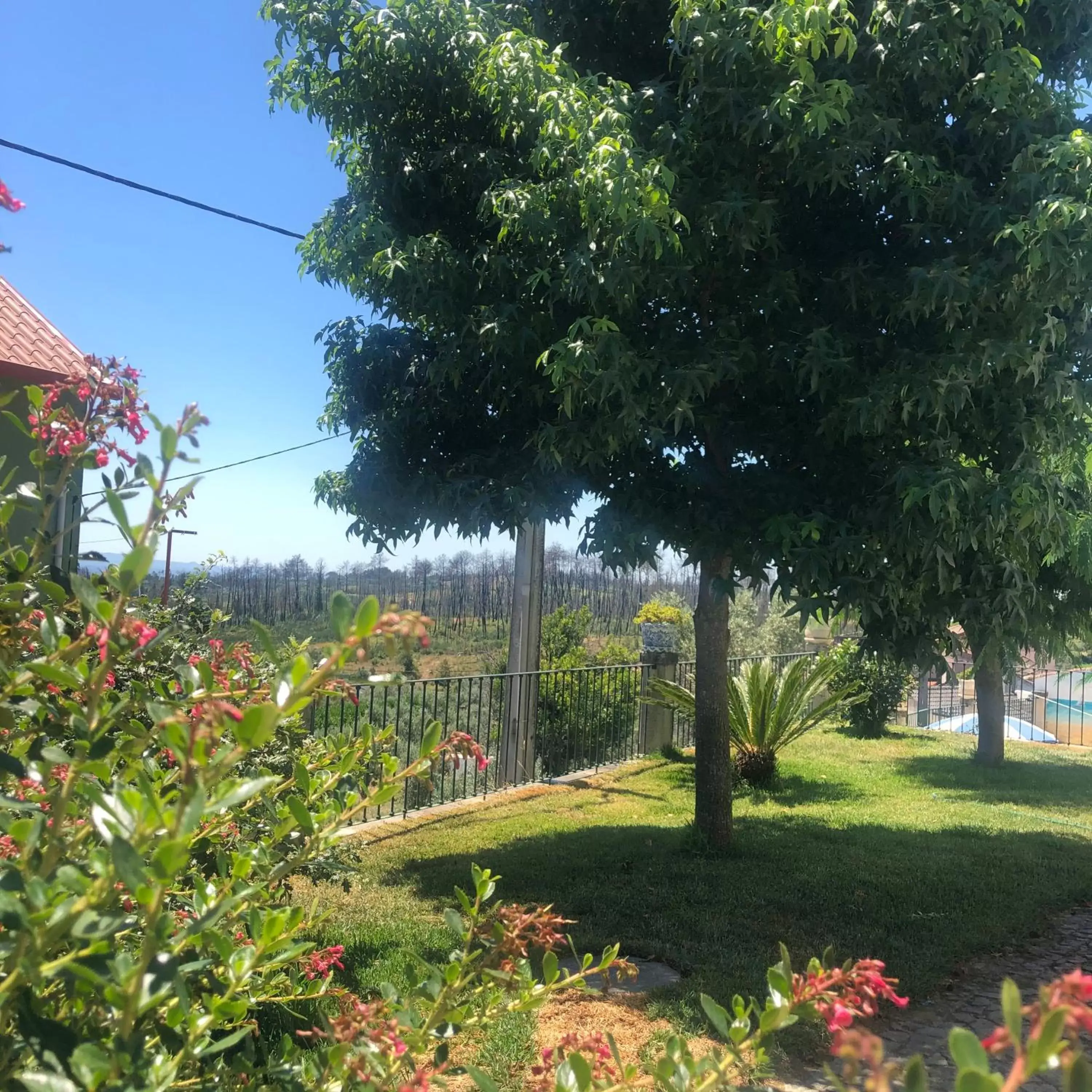 Garden in SOLAR DA SERRA-GuestHouse