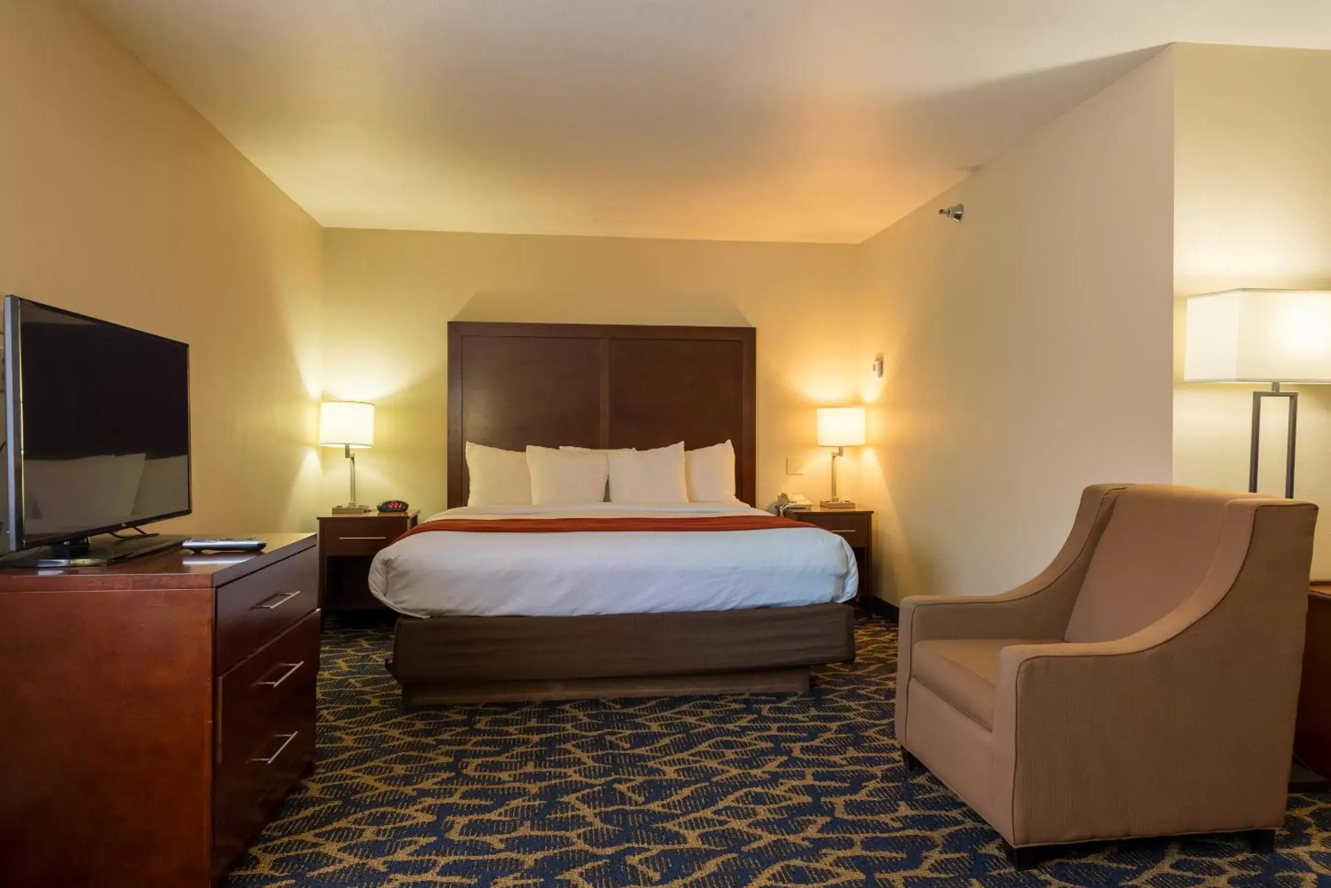 Comfort Inn & Suites Alamosa