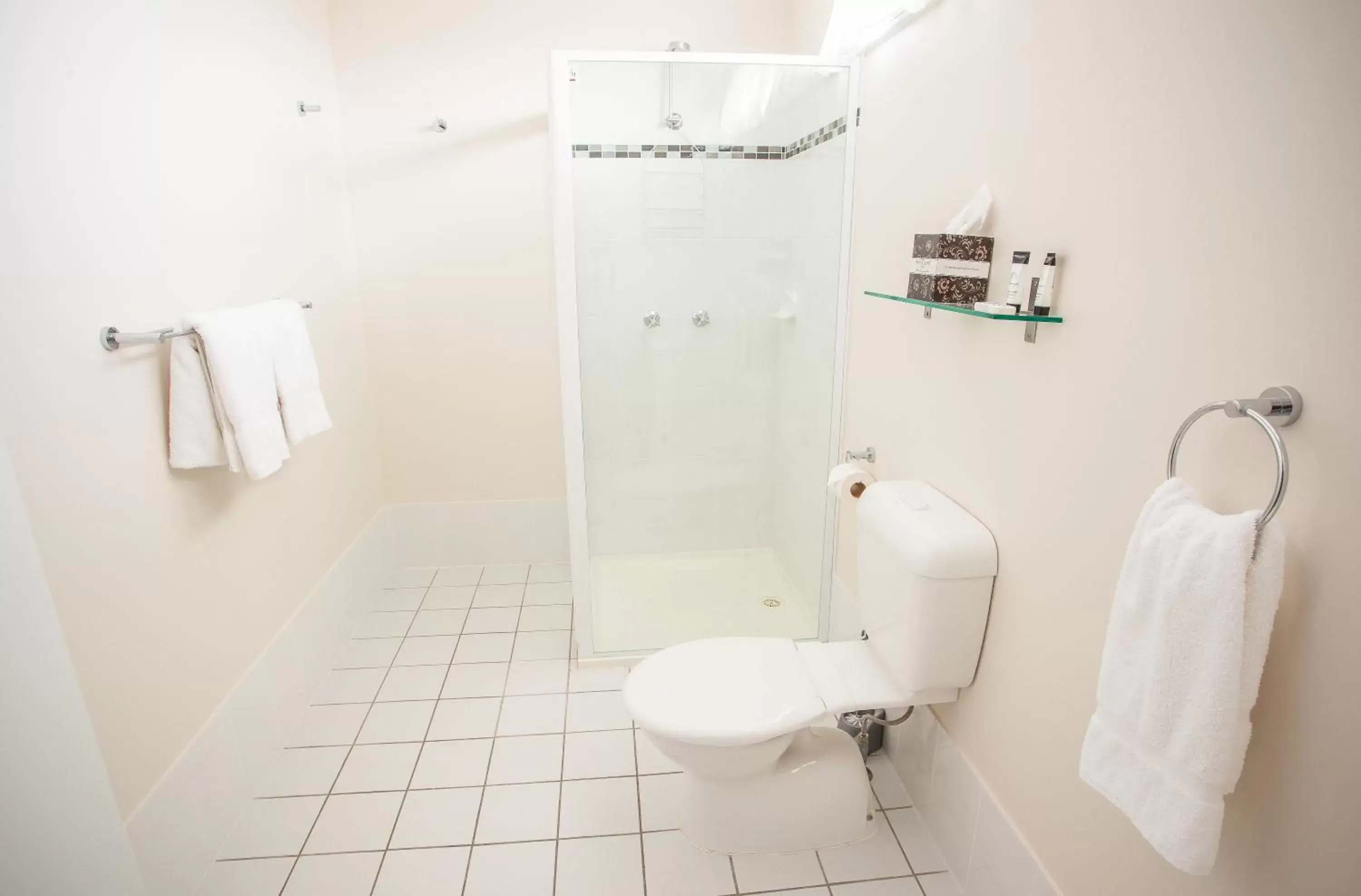 Shower, Bathroom in High Street Motor Inn