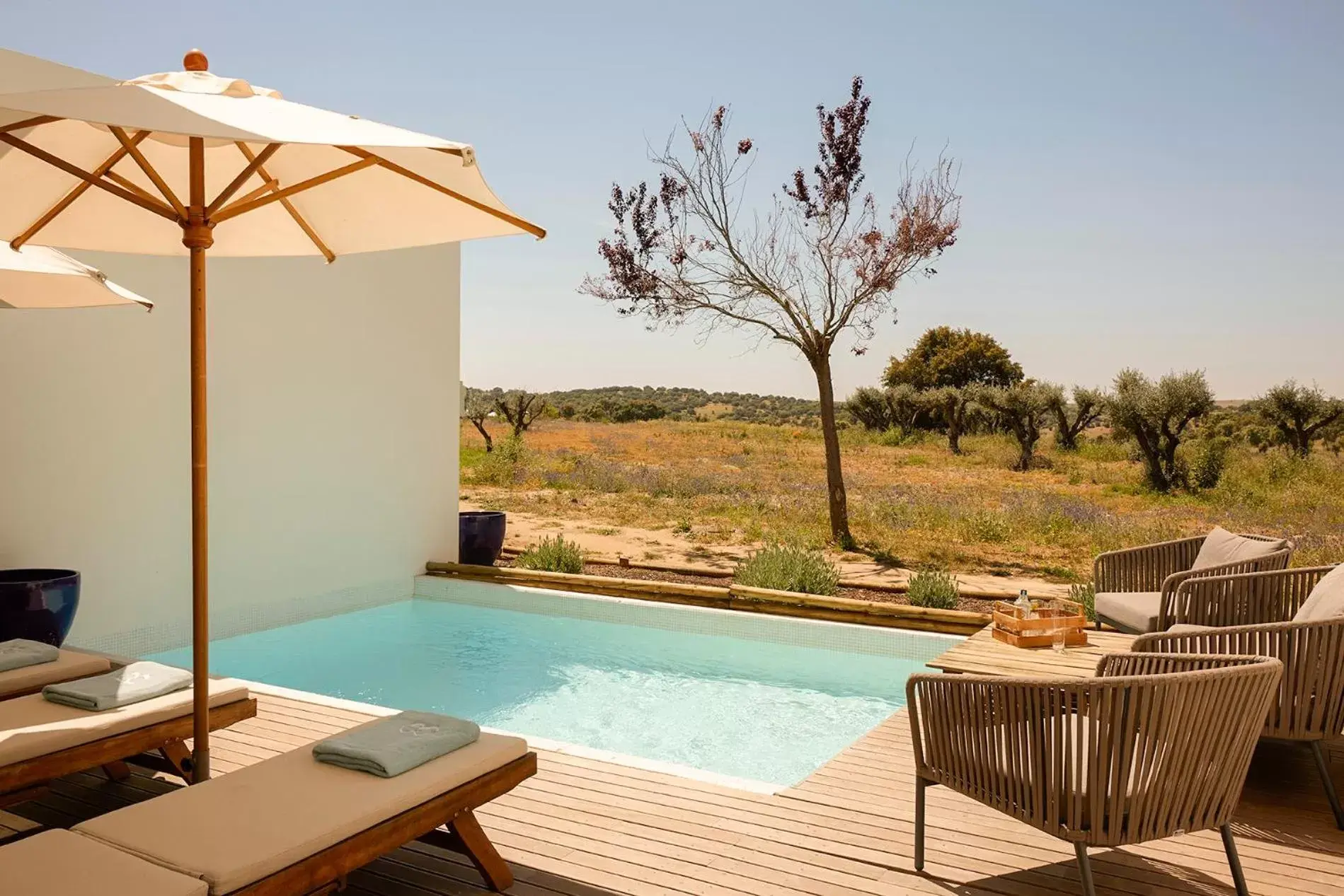 Balcony/Terrace, Swimming Pool in Octant Evora