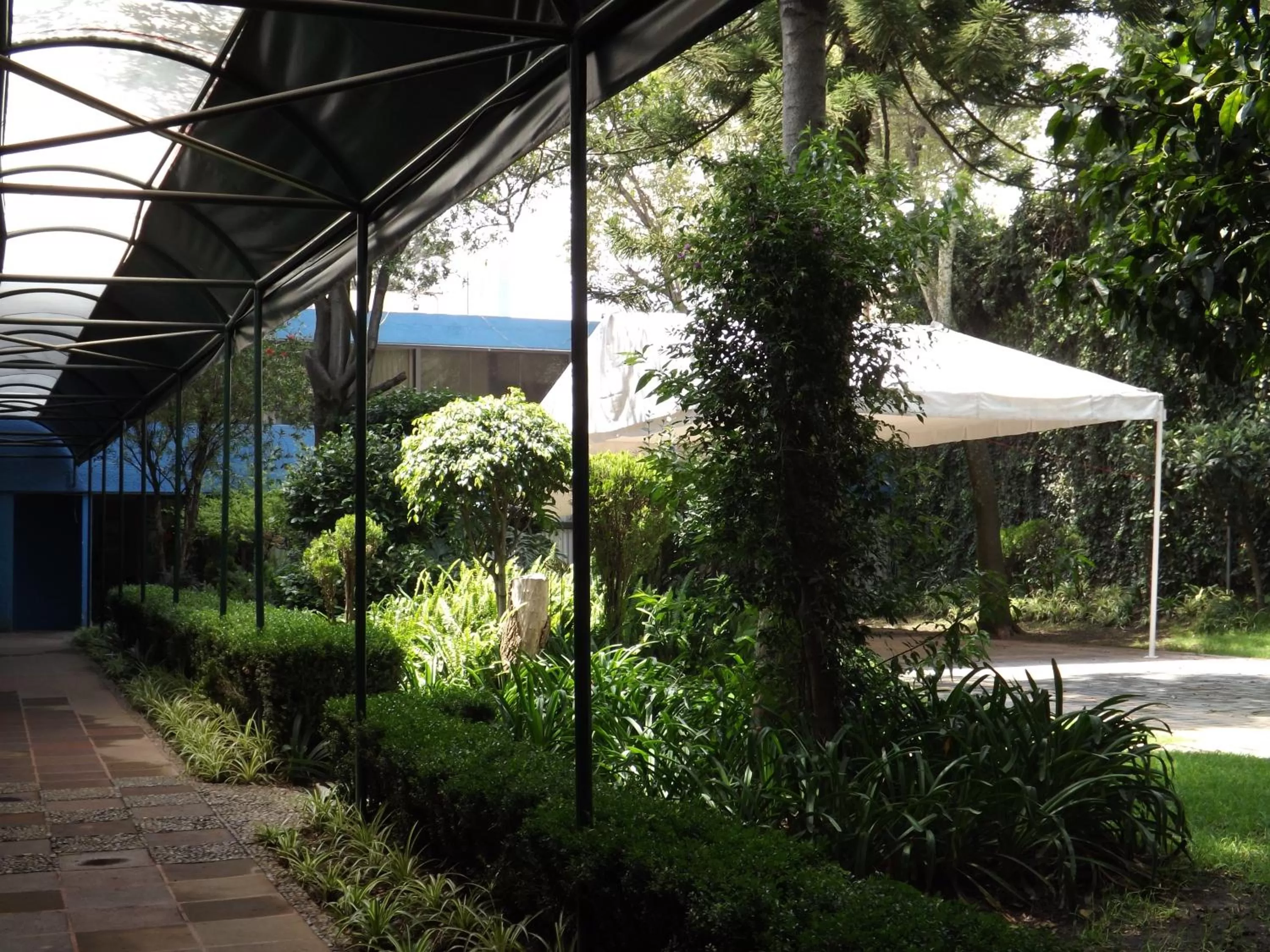 Garden in Pedregal Palace