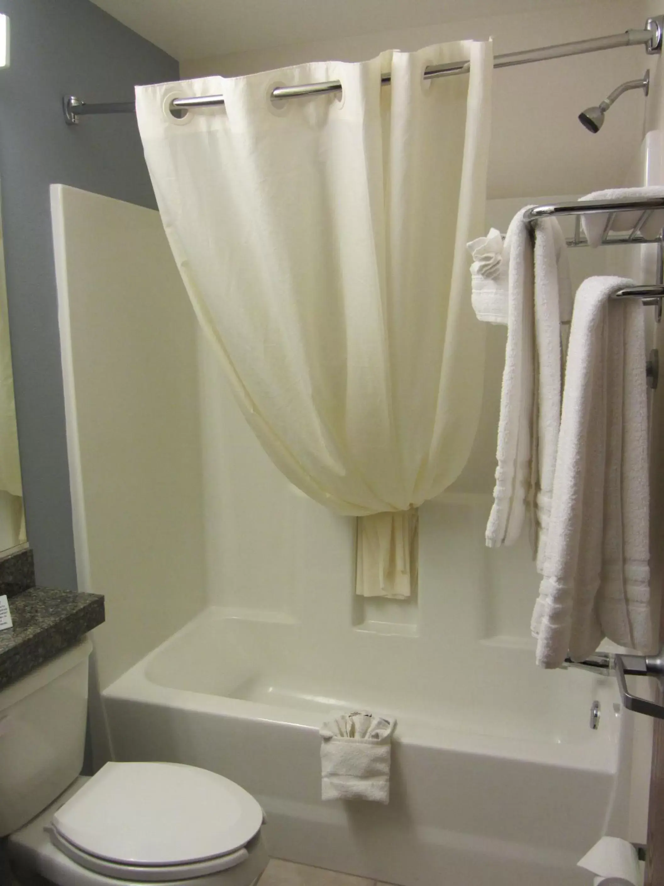 Shower, Bathroom in Microtel Inn and Suites San Angelo
