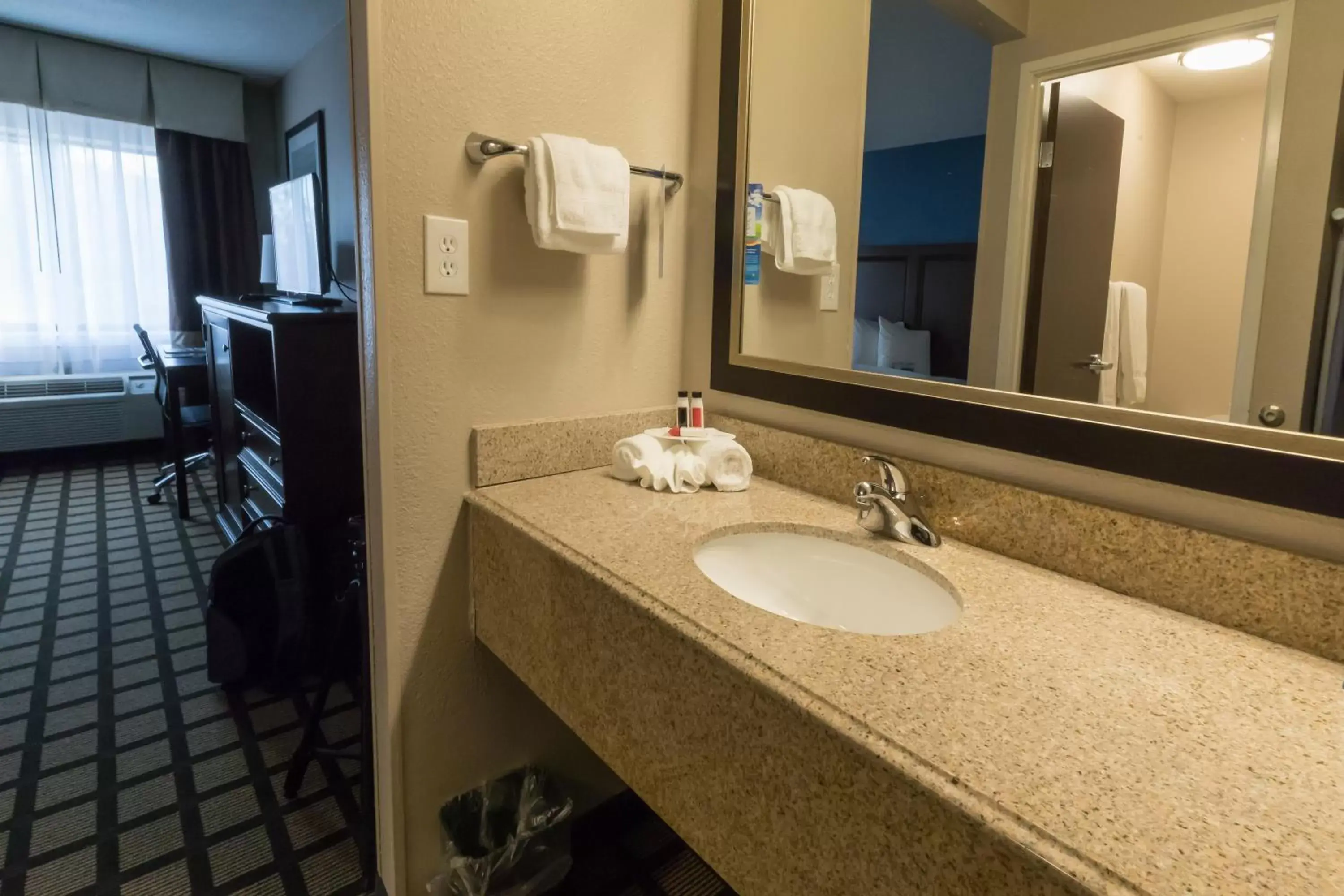 Bathroom in Baymont by Wyndham Detroit Airport/Romulus