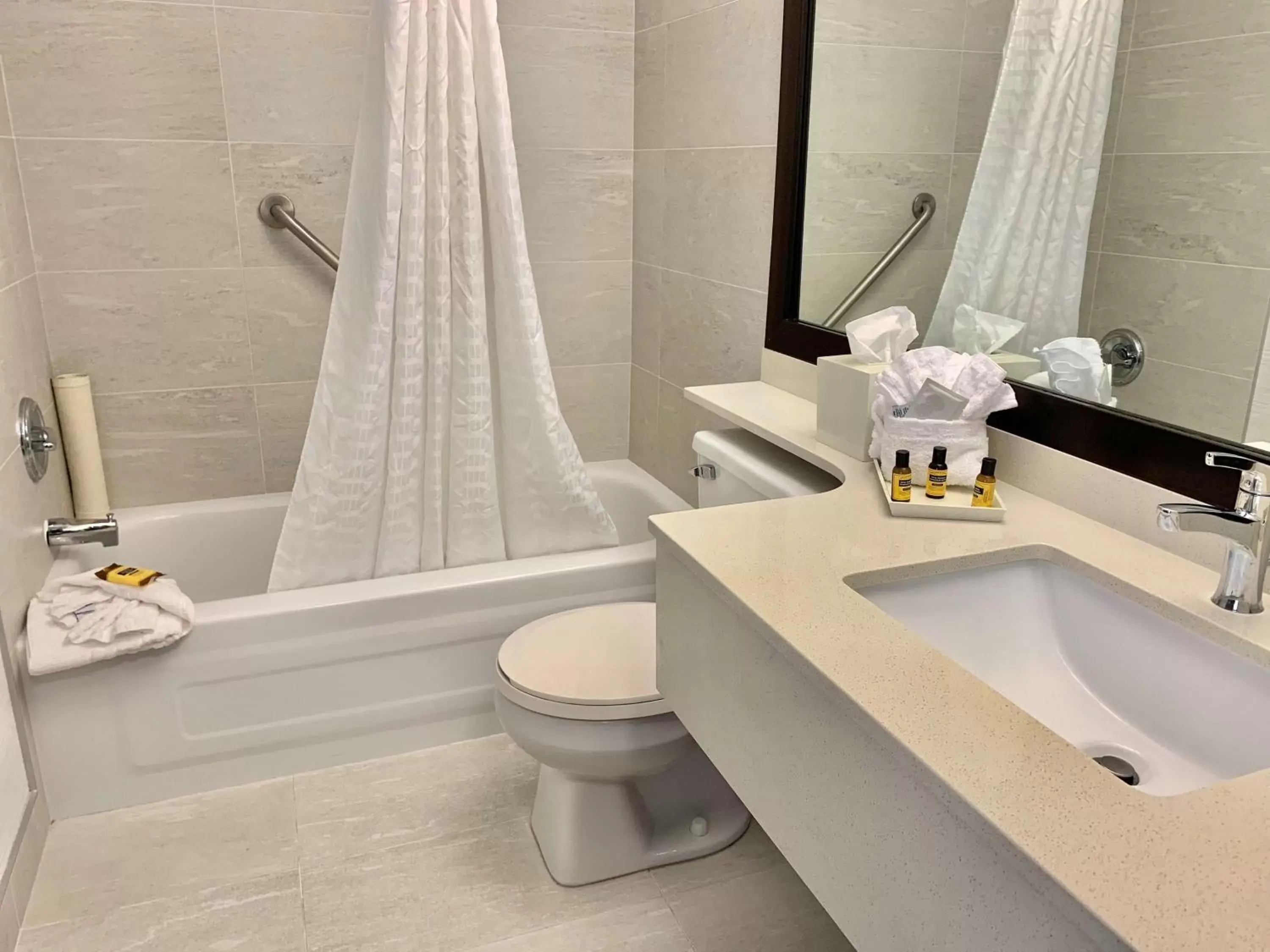 Bathroom in Best Western Plus Regency Inn and Conference Centre