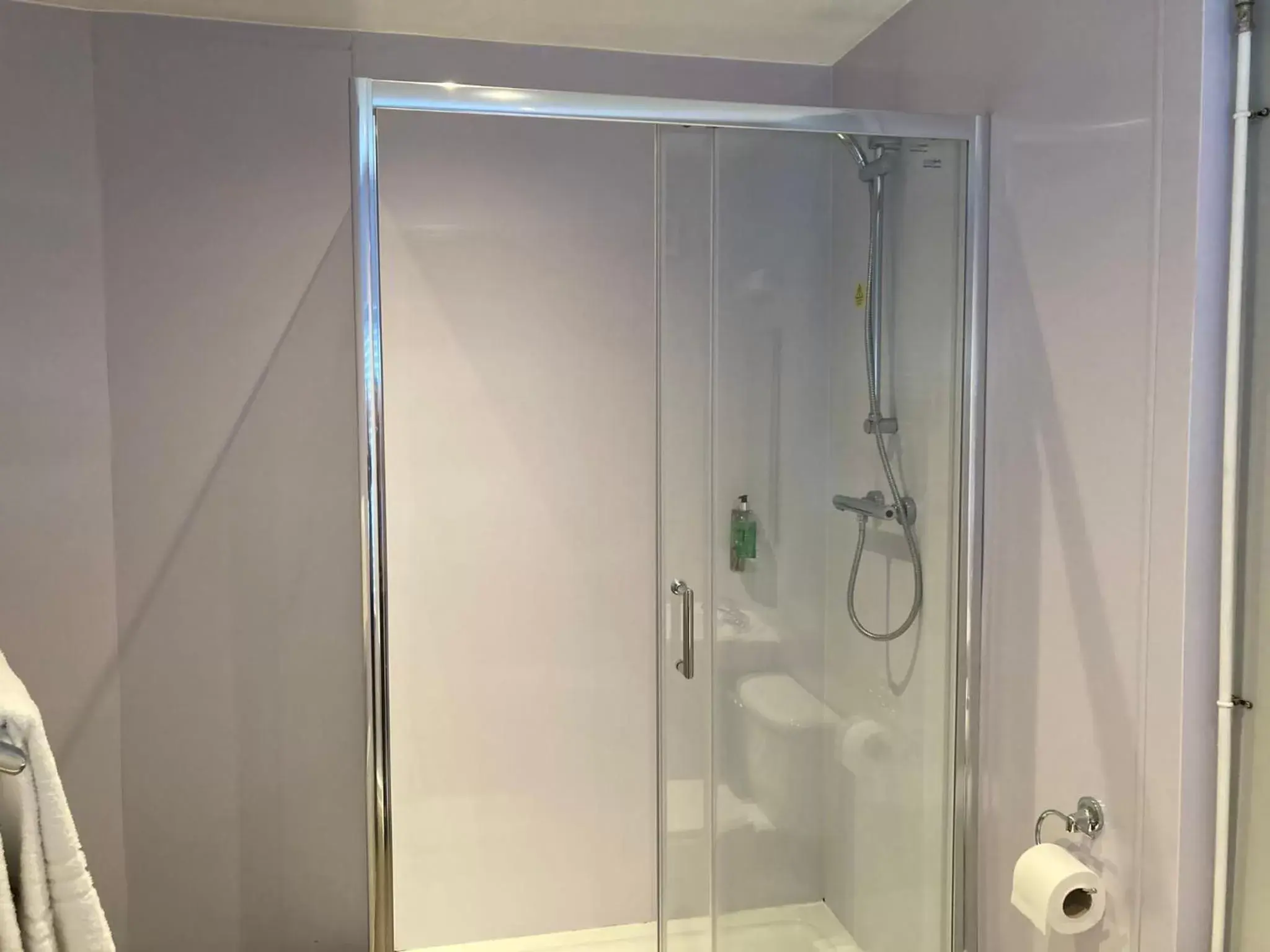 Shower, Bathroom in The George Inn