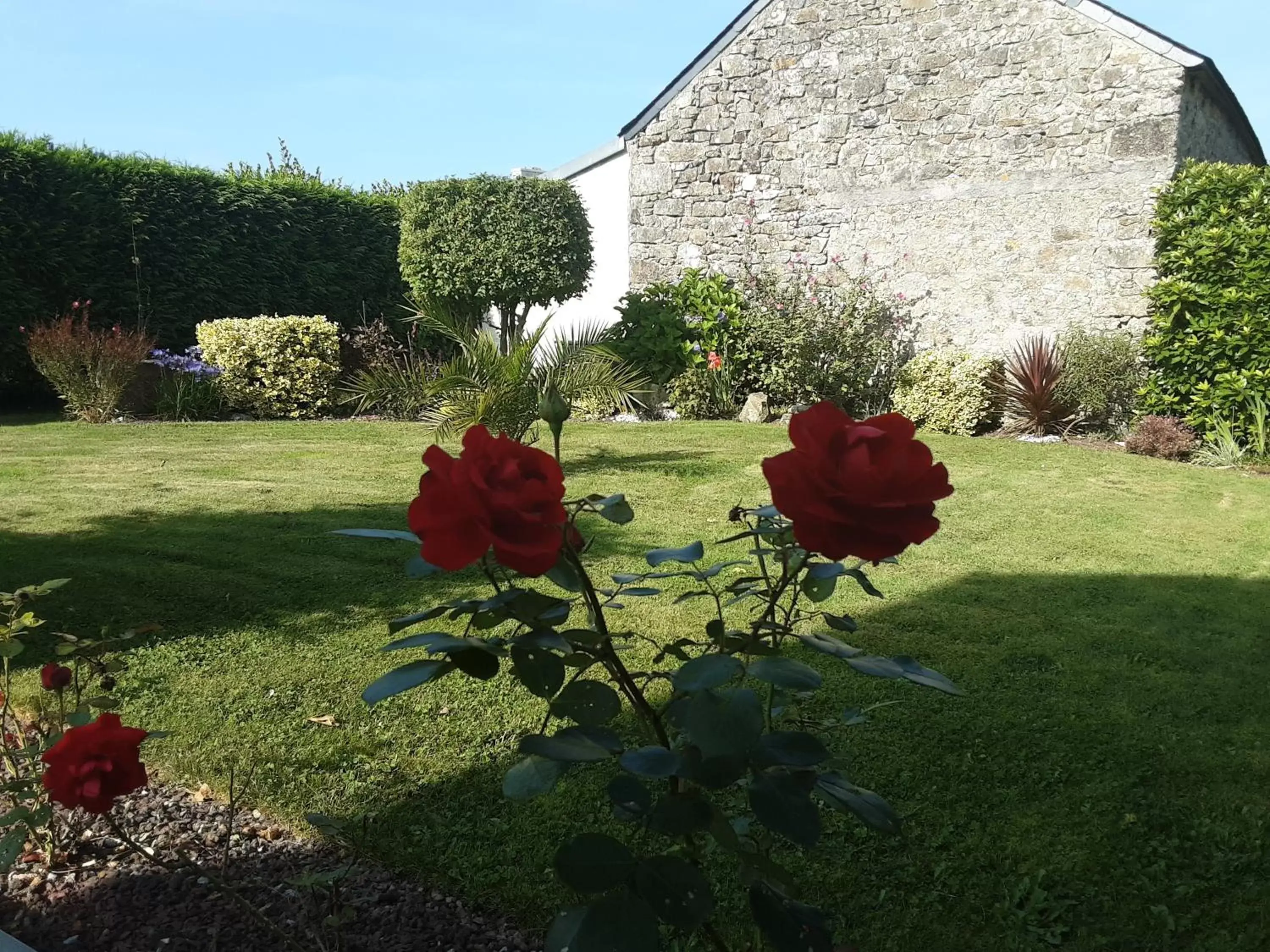 Garden in chambres d'hôtes les mésanges avec salle d'eau privative pdj compris