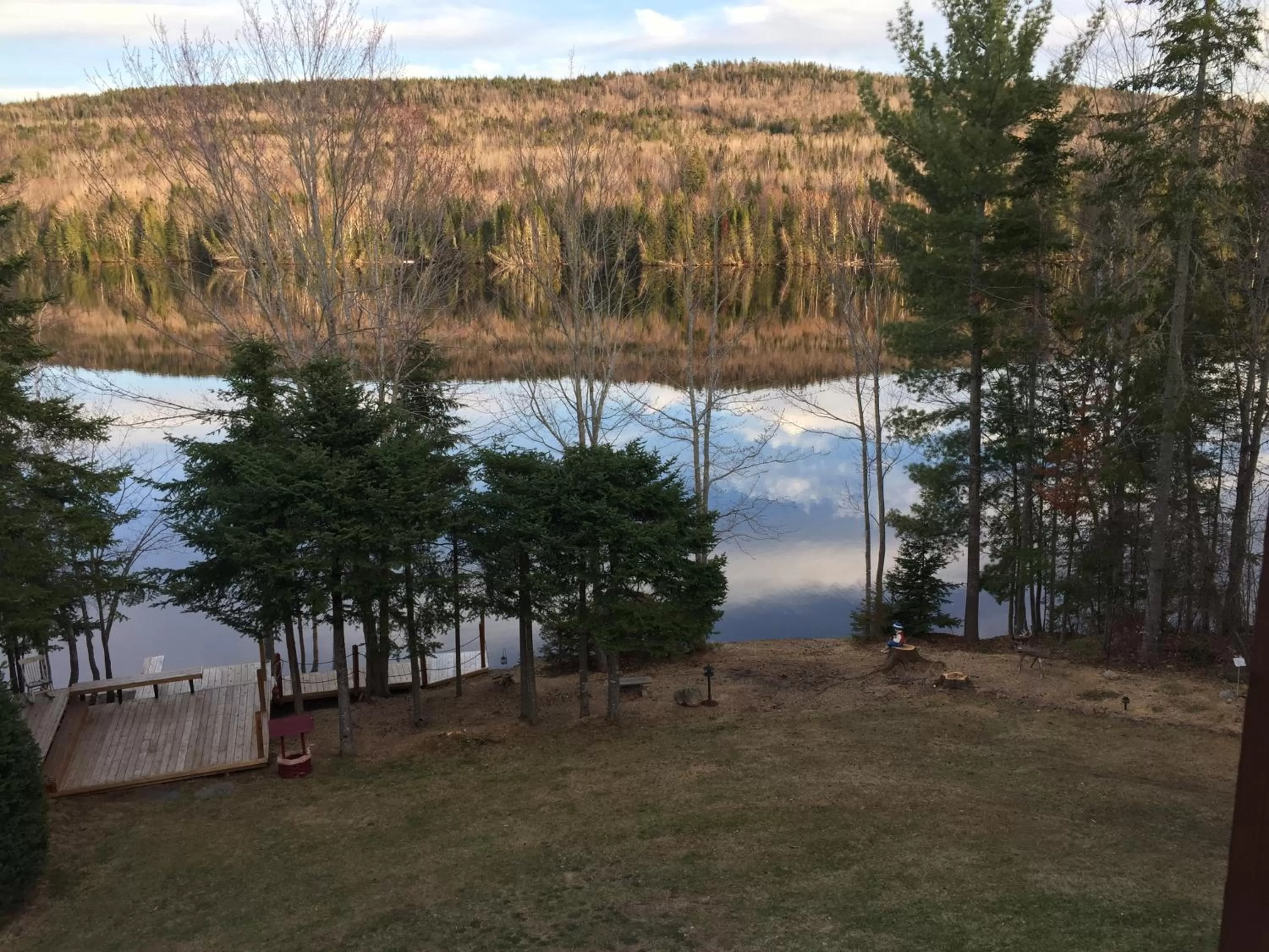 View (from property/room) in Strong Timbers BnB