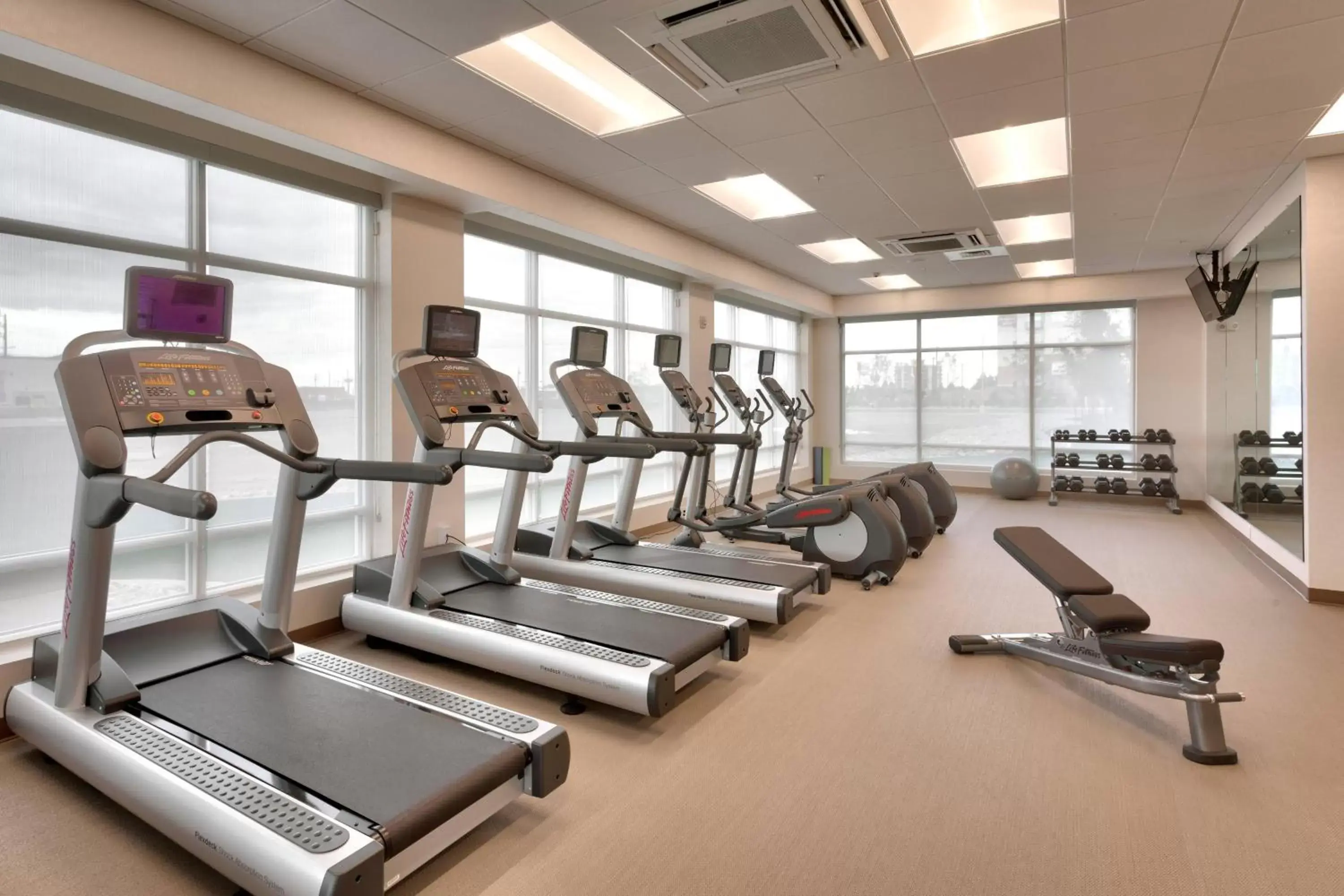 Fitness centre/facilities, Fitness Center/Facilities in SpringHill Suites by Marriott Idaho Falls