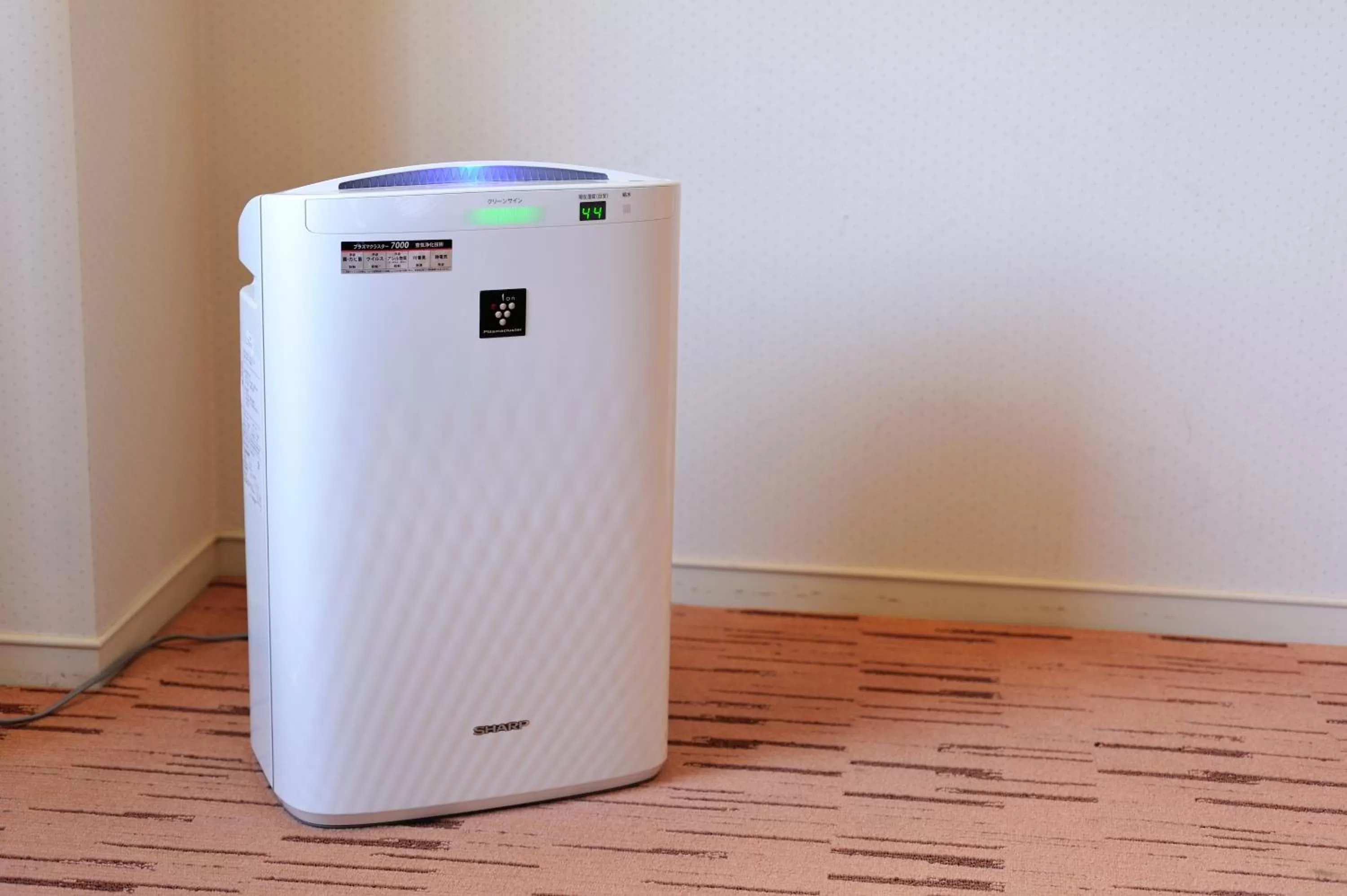 Decorative detail in Hiroshima Airport Hotel