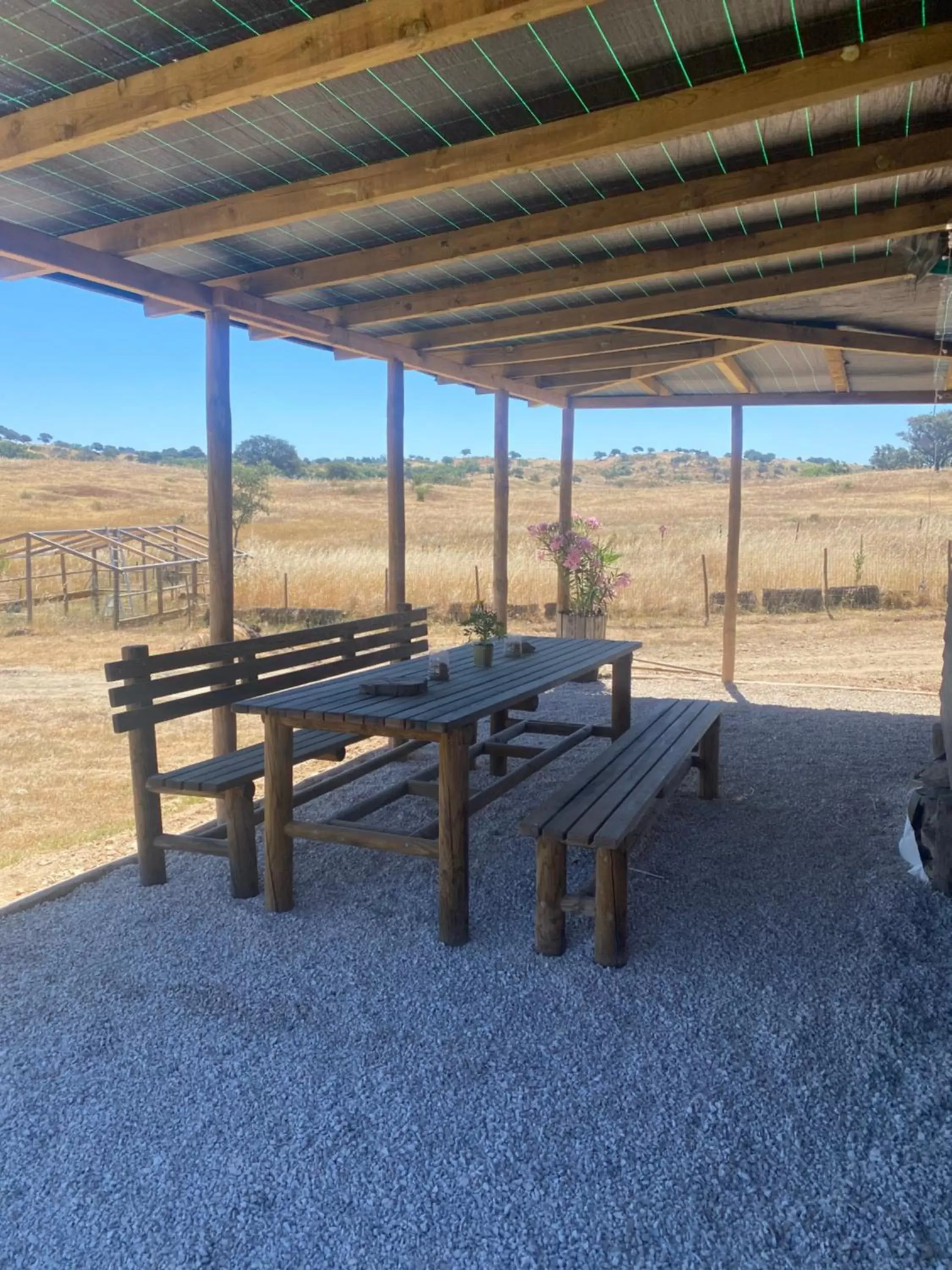 Seating area in Luxury room at Mama-Adama Alpaca Farm