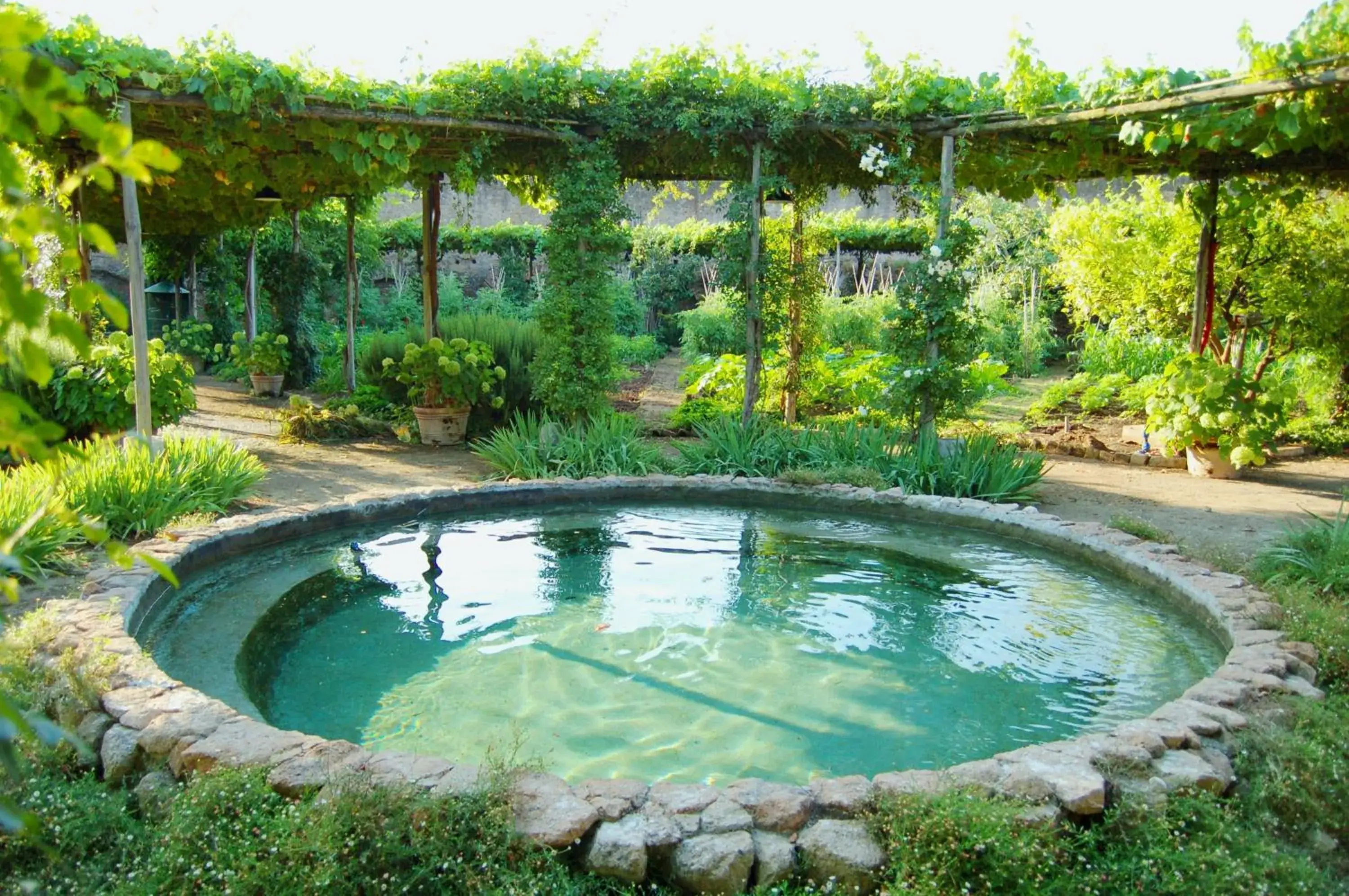 Garden, Swimming Pool in Domus Sessoriana
