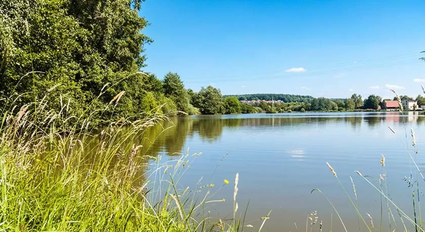 Natural landscape in Landhotel Mappacher Hof