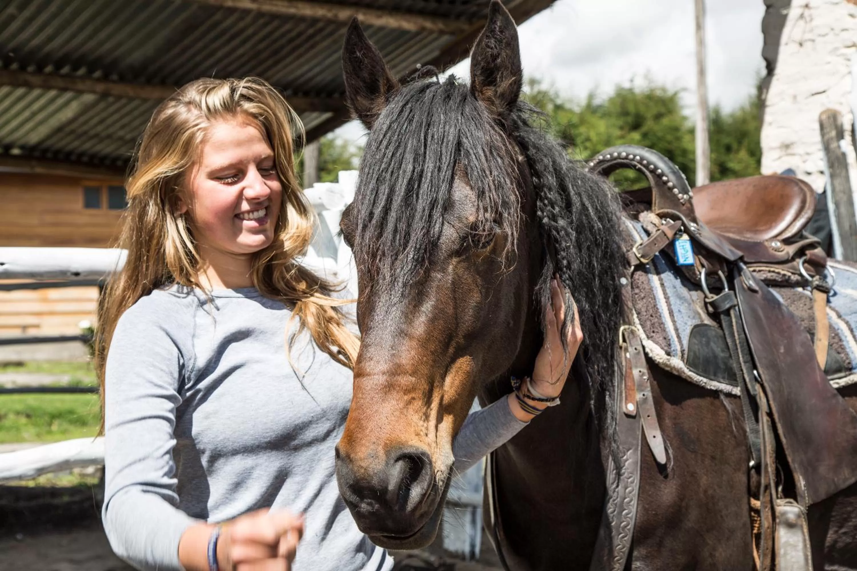Hosteria Papagayo Cotopaxi