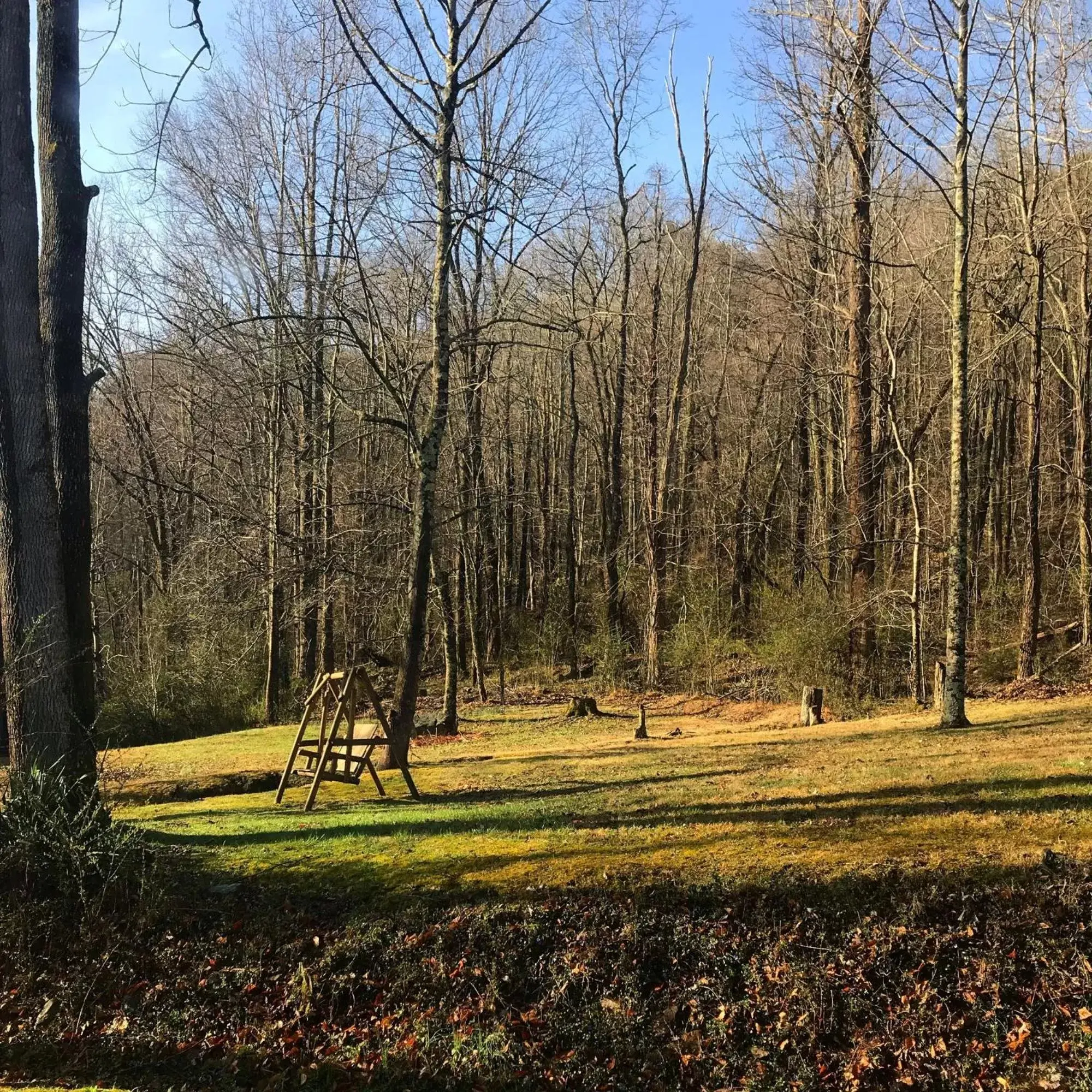 Natural landscape in Laughing Heart Lodge