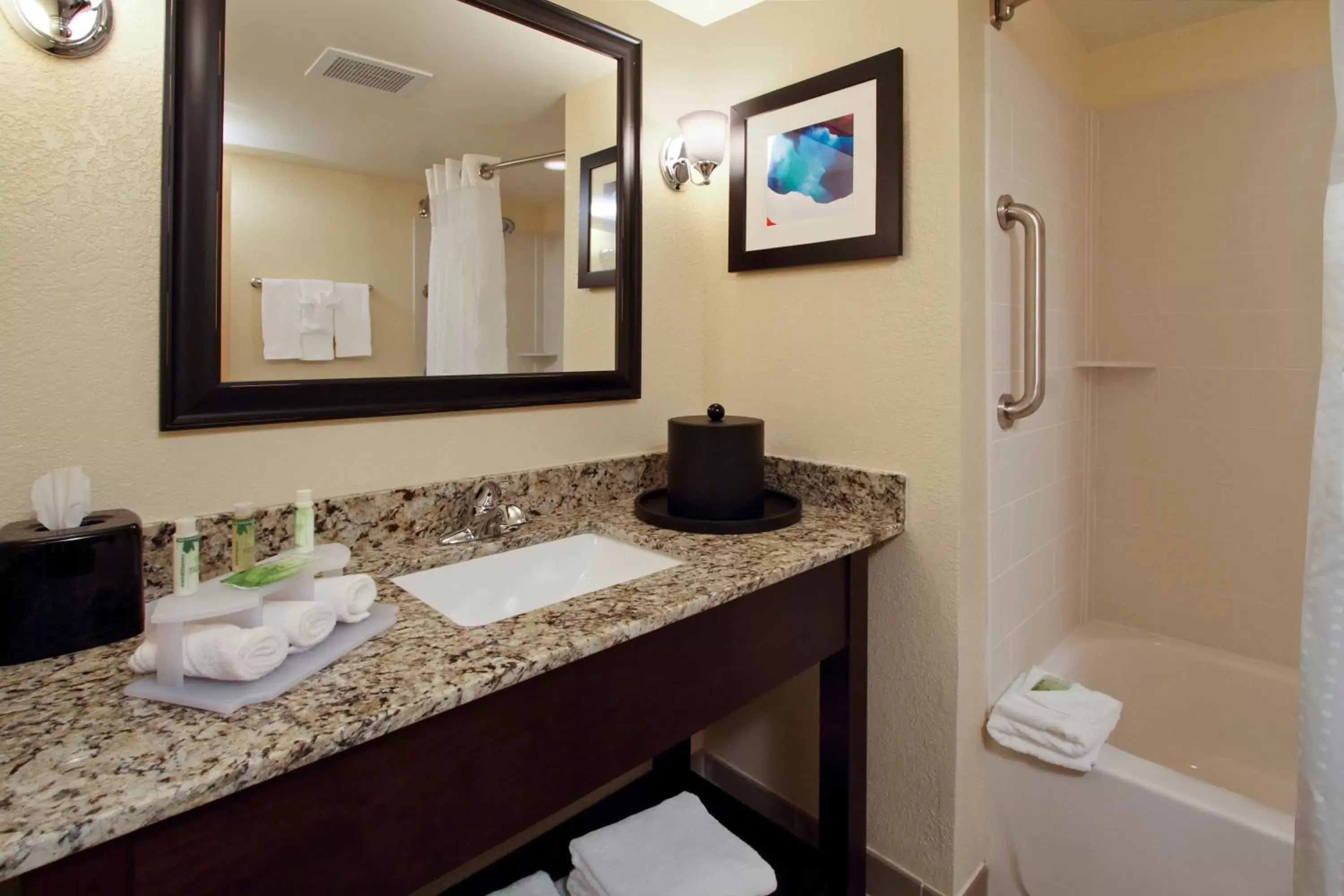 Bathroom in Holiday Inn Express Augusta Downtown, an IHG Hotel