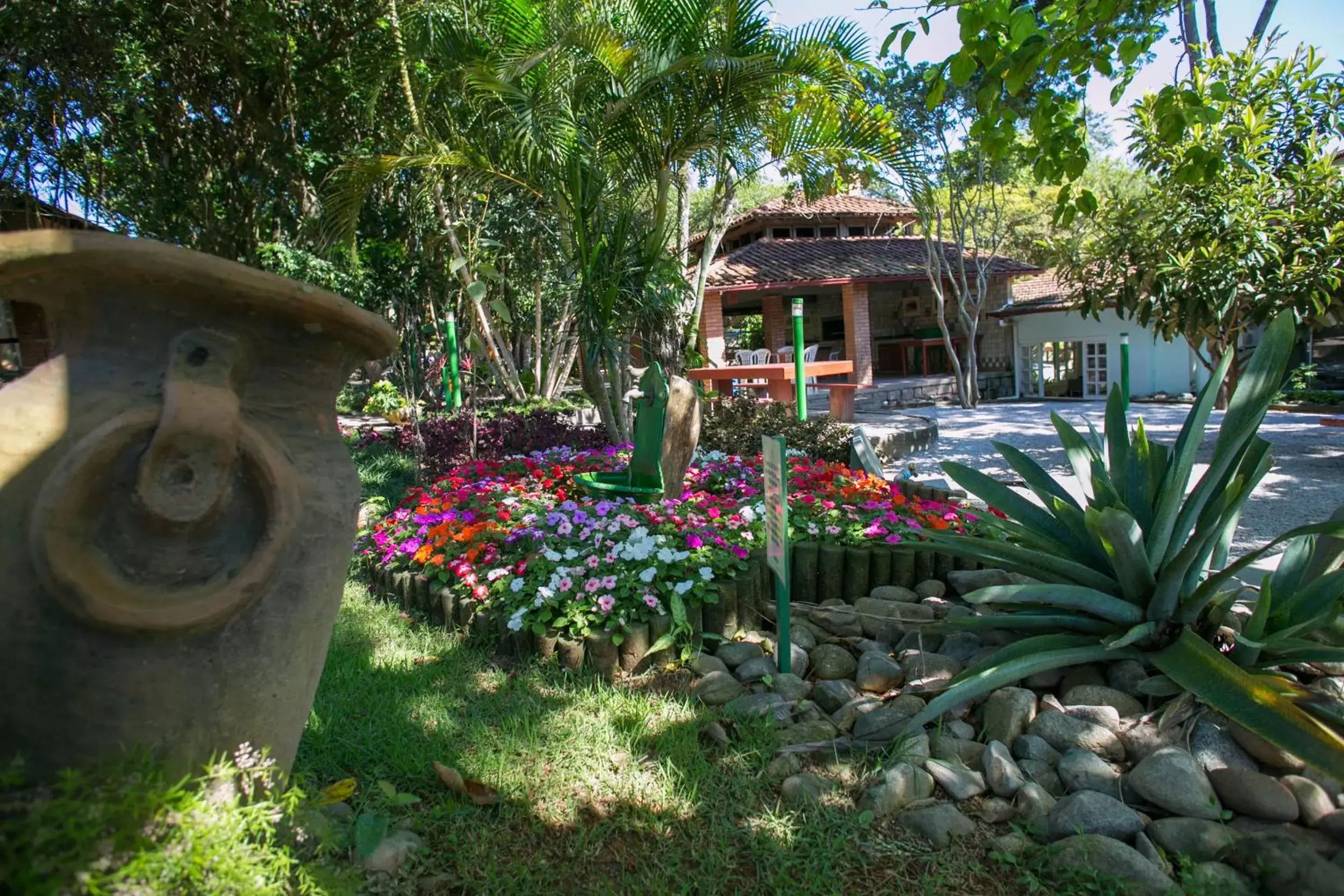 Garden in Hotel São Sebastião da Praia