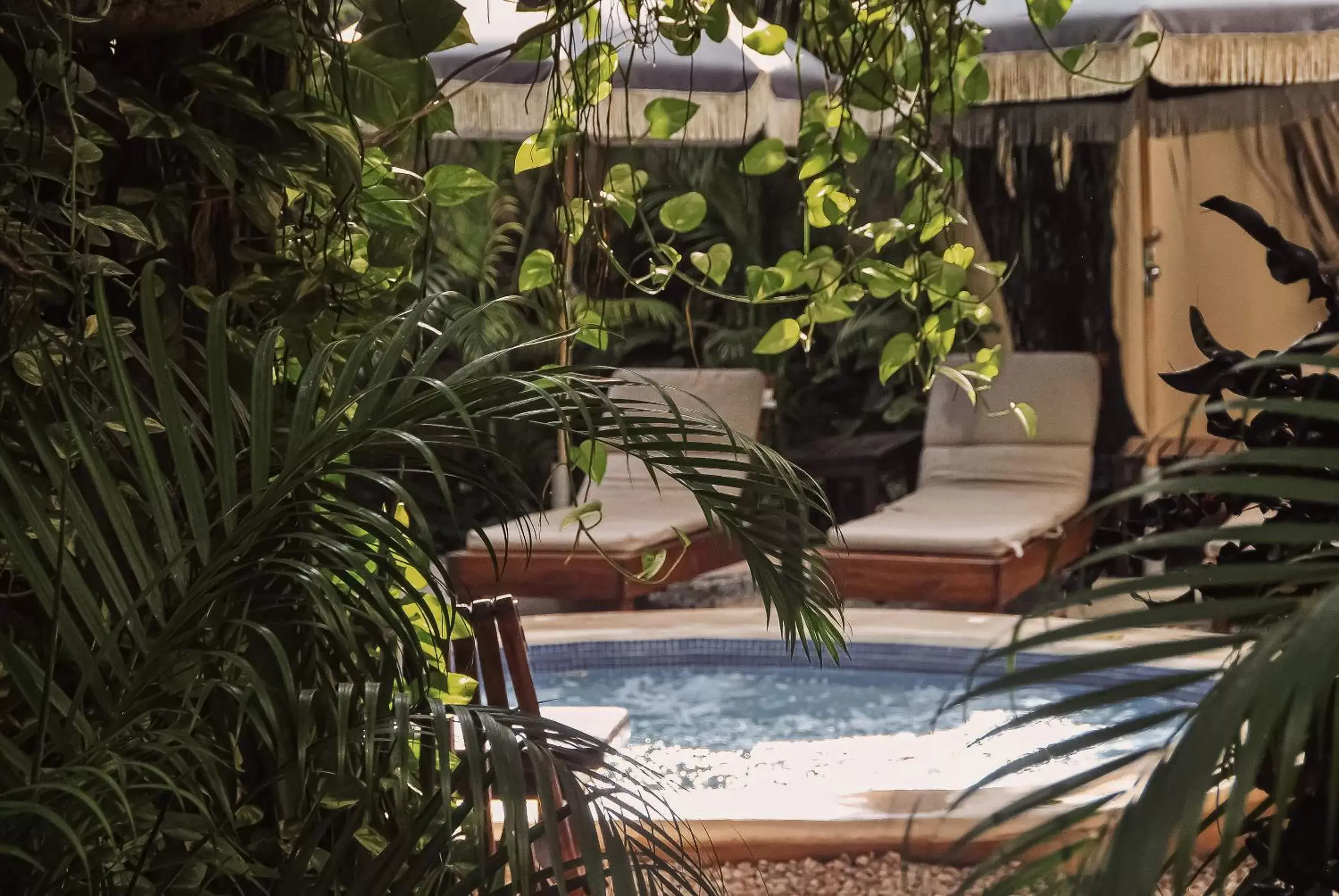 Swimming Pool in Hotel Posada 06 Tulum