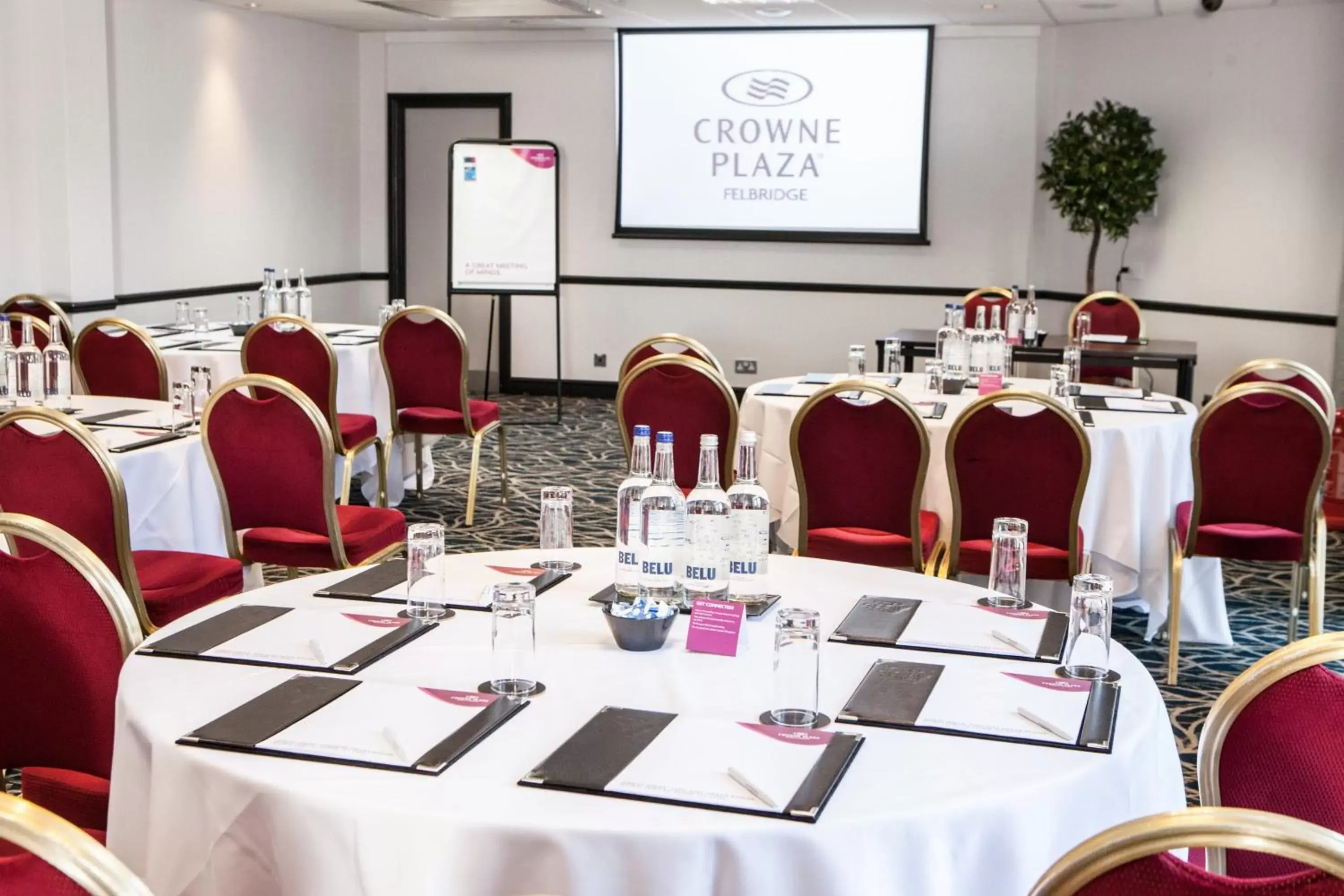 Meeting/conference room, Business Area/Conference Room in Crowne Plaza Felbridge - Gatwick, an IHG Hotel