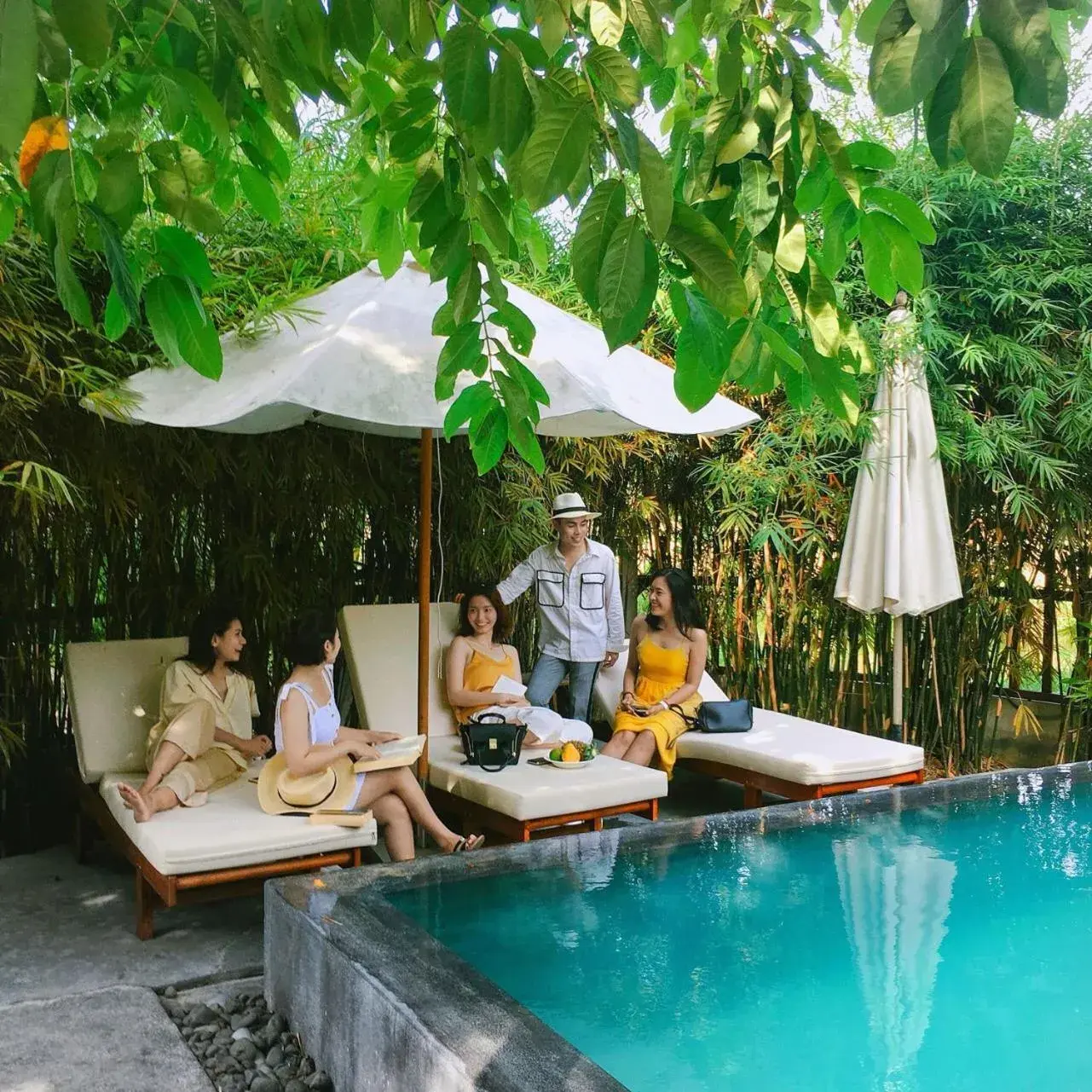 Swimming Pool in Palm View Villa