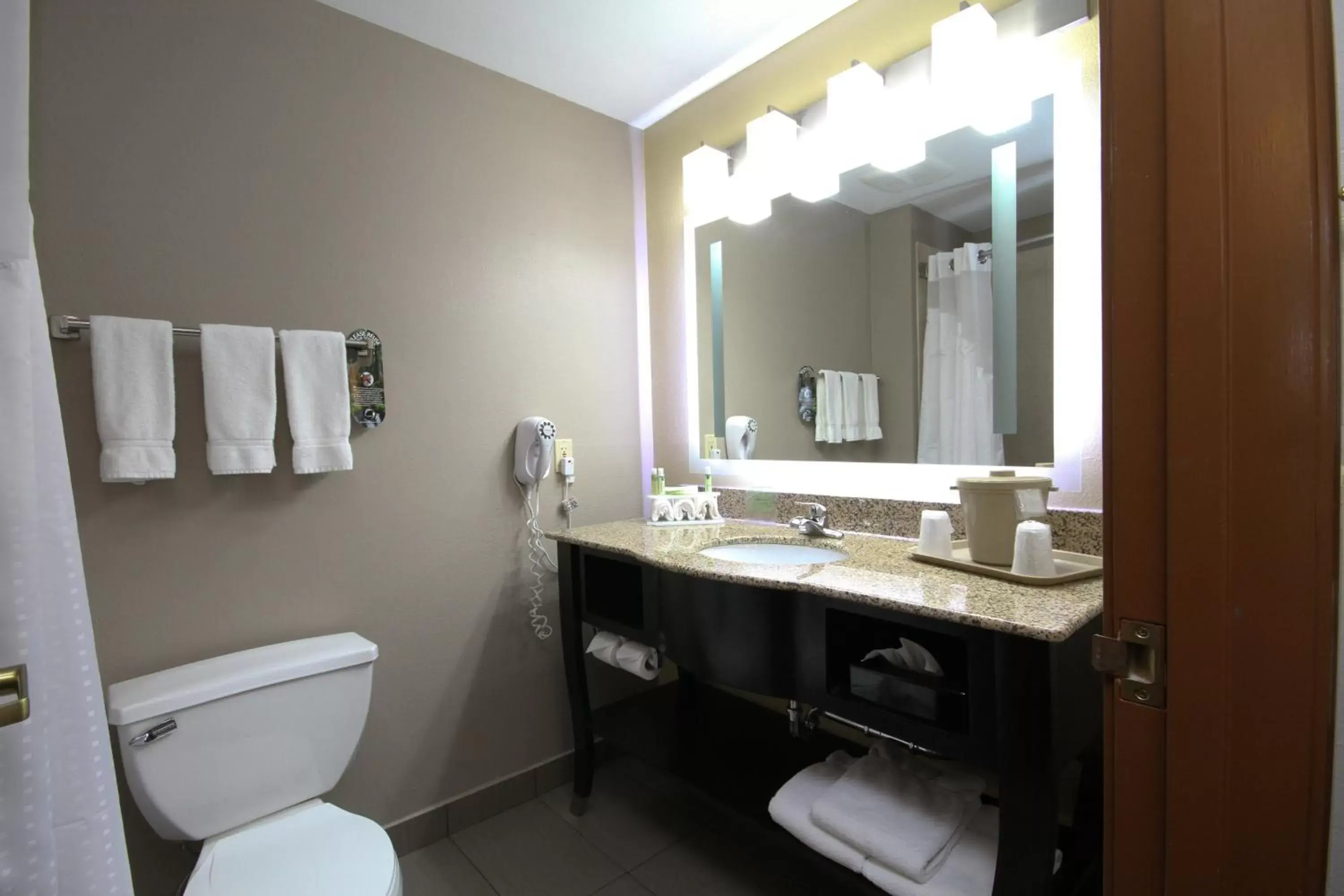 Bathroom in Holiday Inn Express Marshall, an IHG Hotel