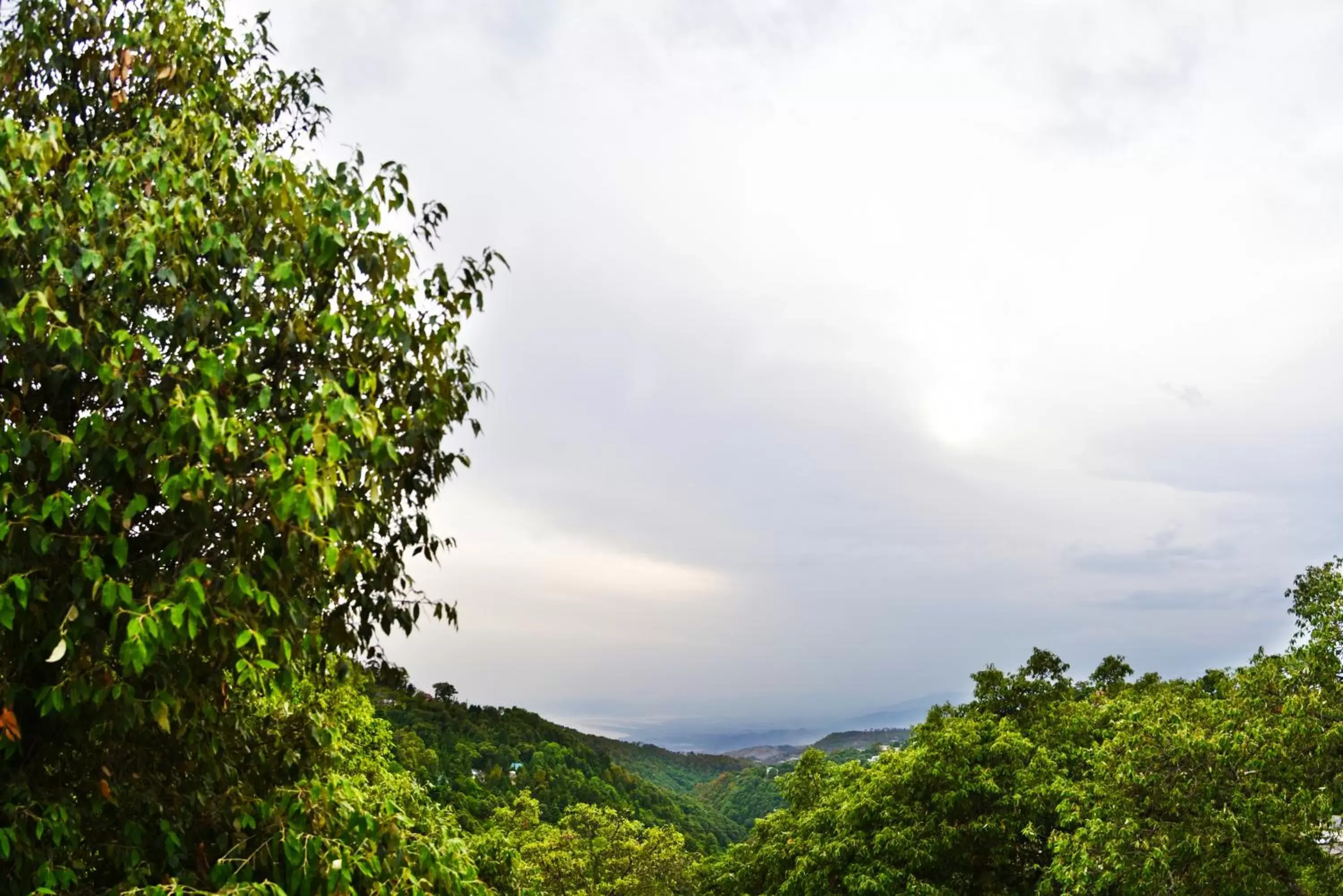 Natural landscape in Indraprastha Resort, Dalhousie