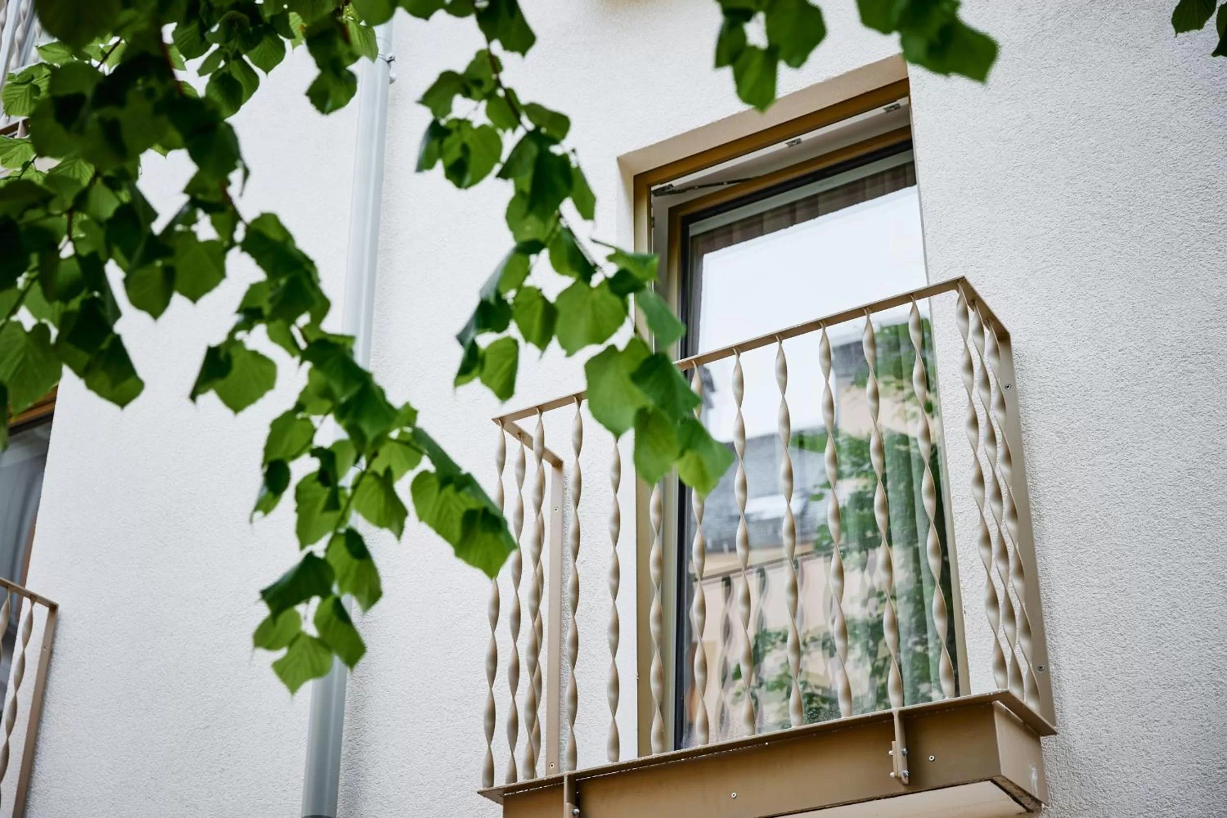 Patio in Boutiquehotel Zum Goldenen Hirschen