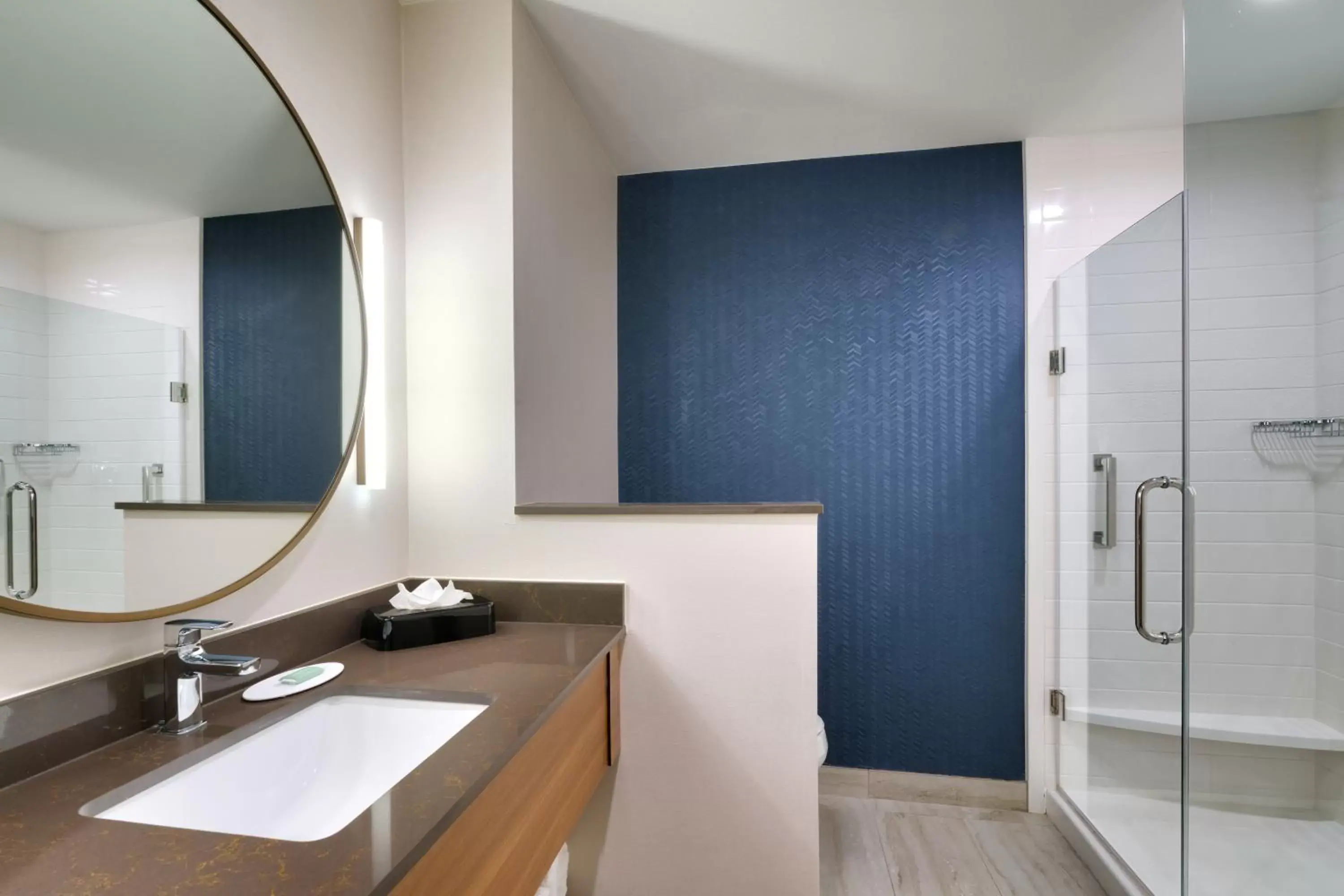 Bathroom in Fairfield Inn & Suites by Marriott Houston League City