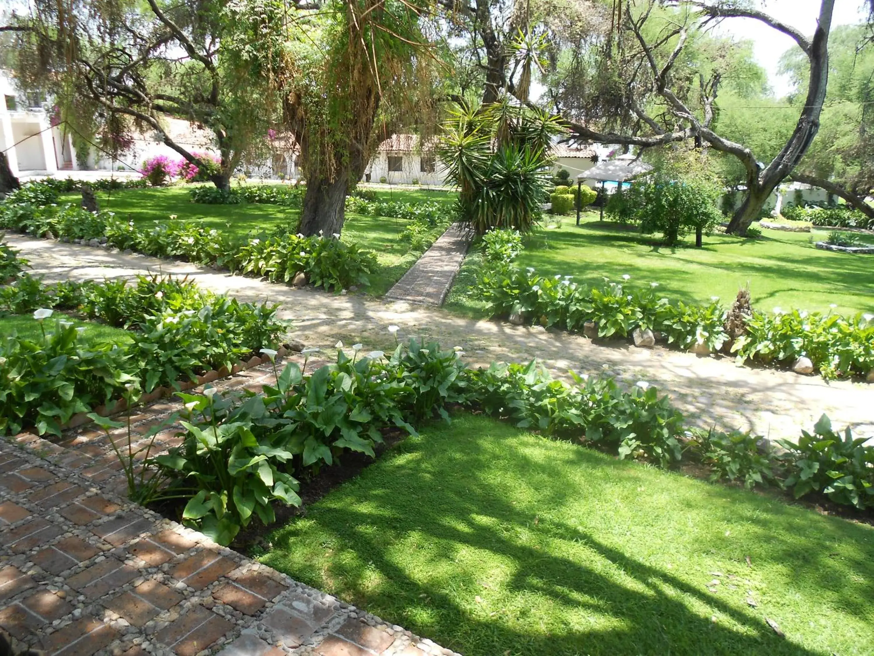 Garden in Hotel Hacienda Taboada (Aguas Termales)