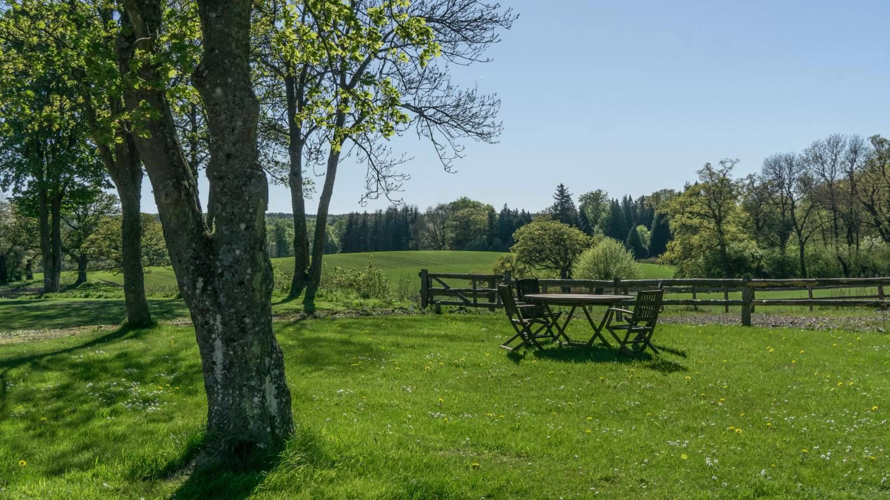 Garden in Edelsminde Bed & Breakfast