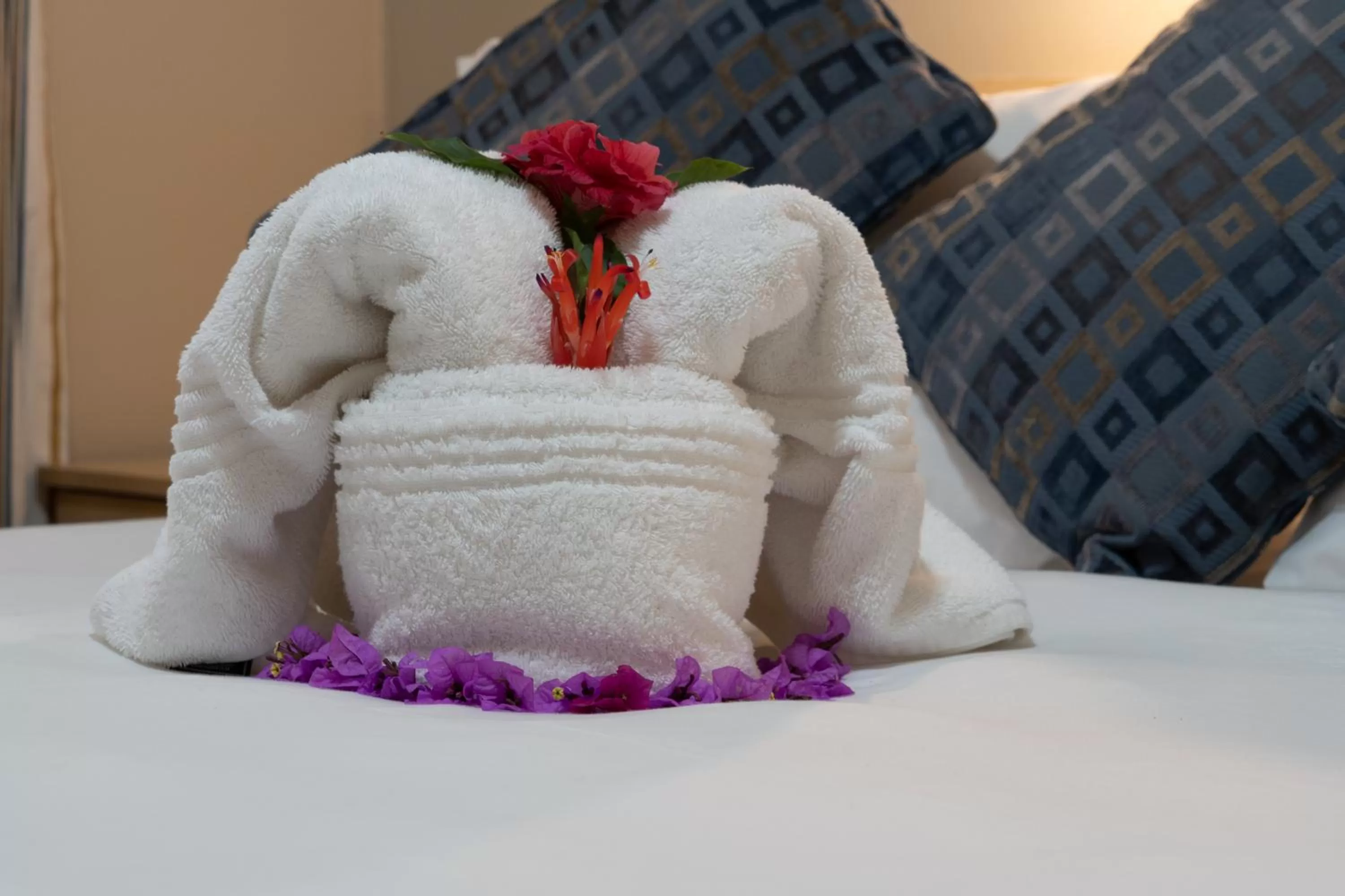 Bedroom, Bed in Gooderson Knysna Chalets