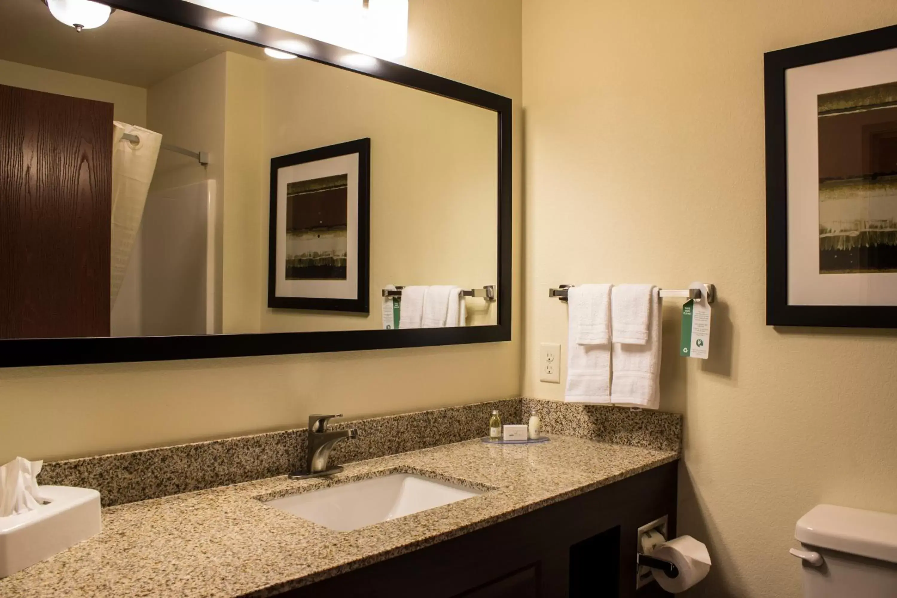 Shower, Bathroom in Cobblestone Hotel & Suites - Stevens Point