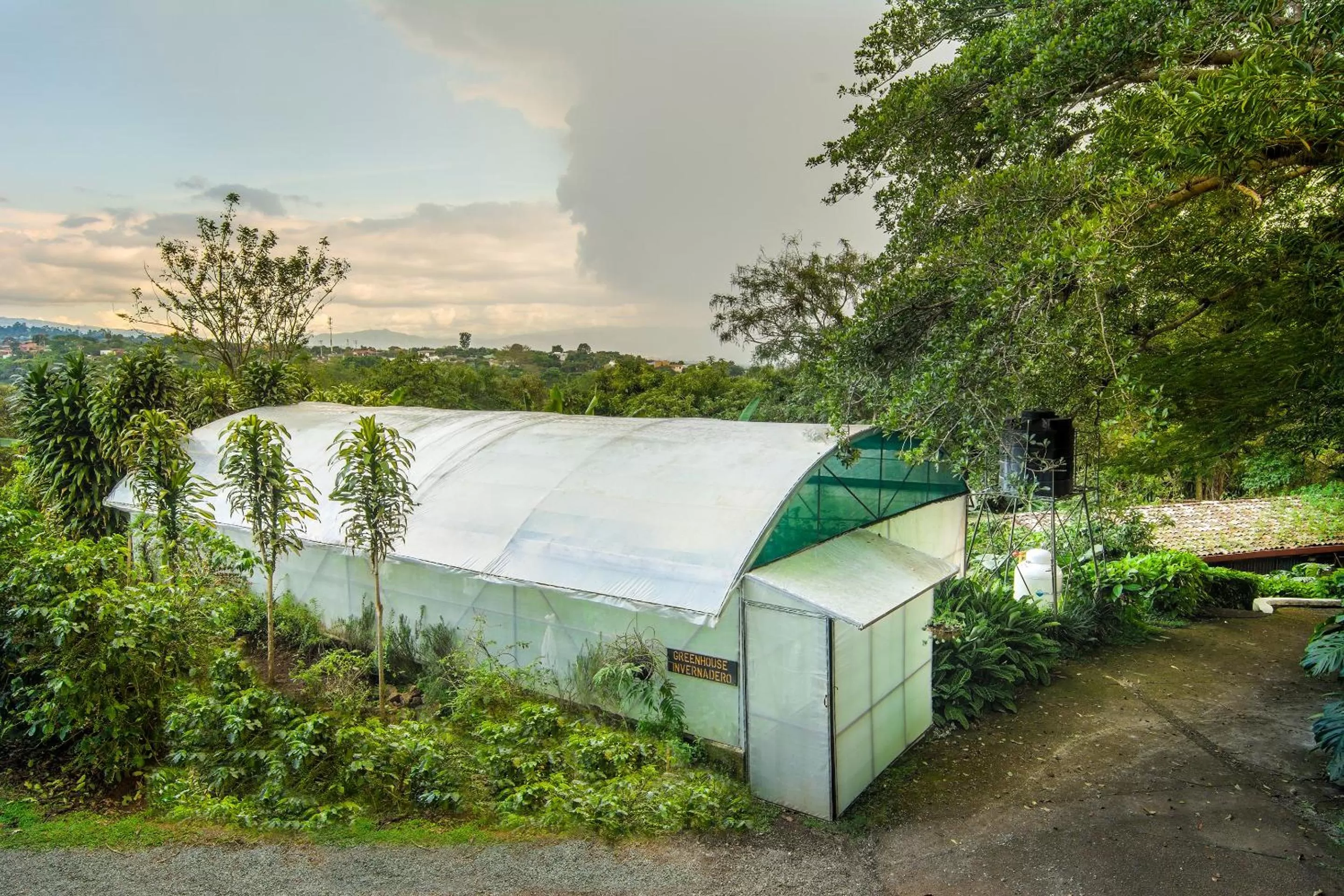 Other in Finca Rosa Blanca Coffee Farm and Inn