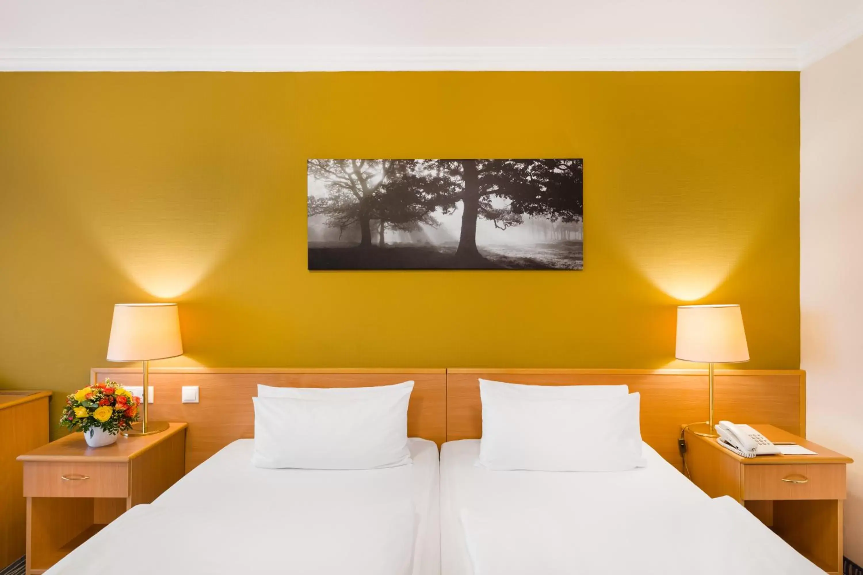  Superior Twin Room in Danubius Hotel Arena