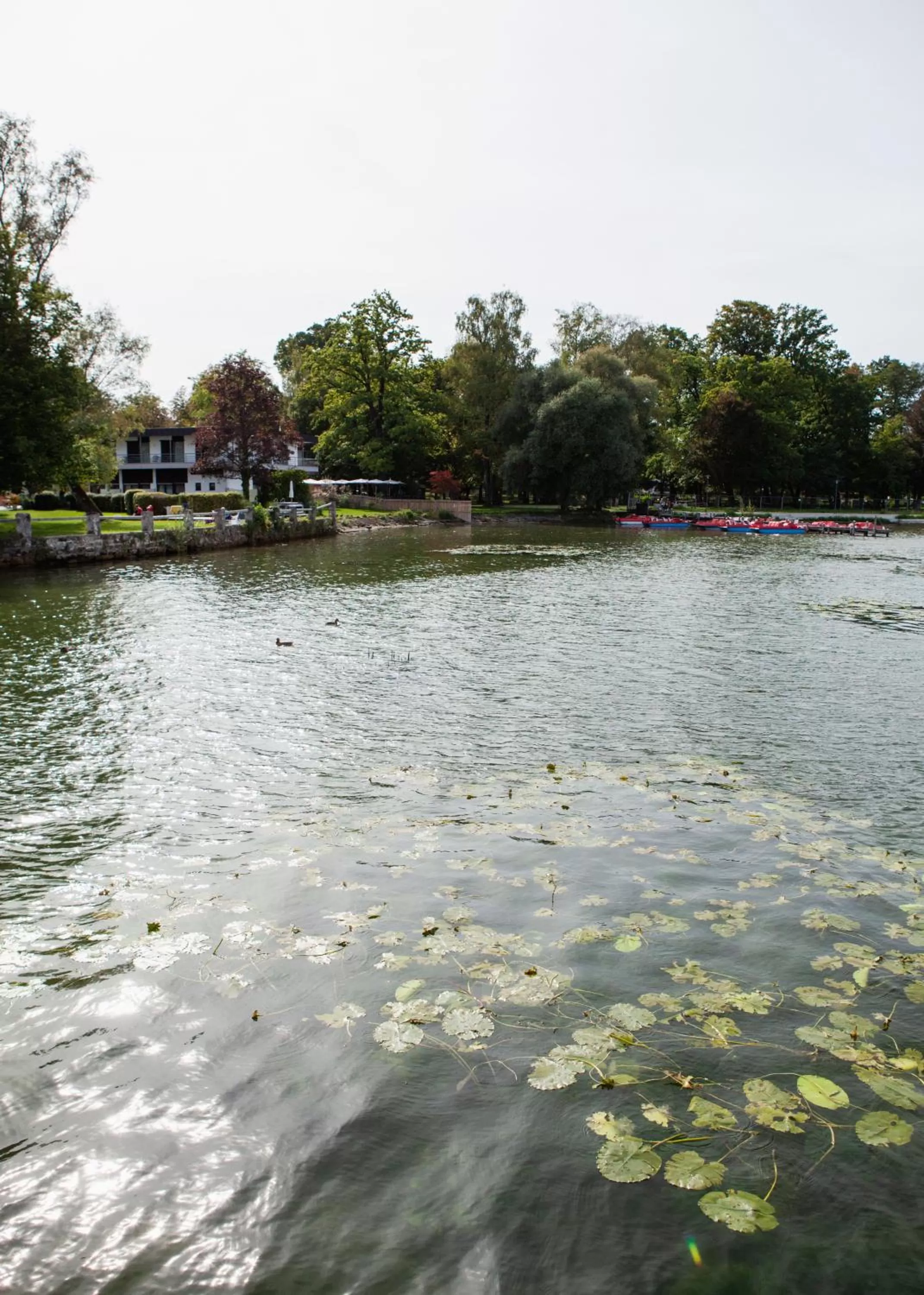 Garden in Strandhotel SüdSee Diessen am Ammersee
