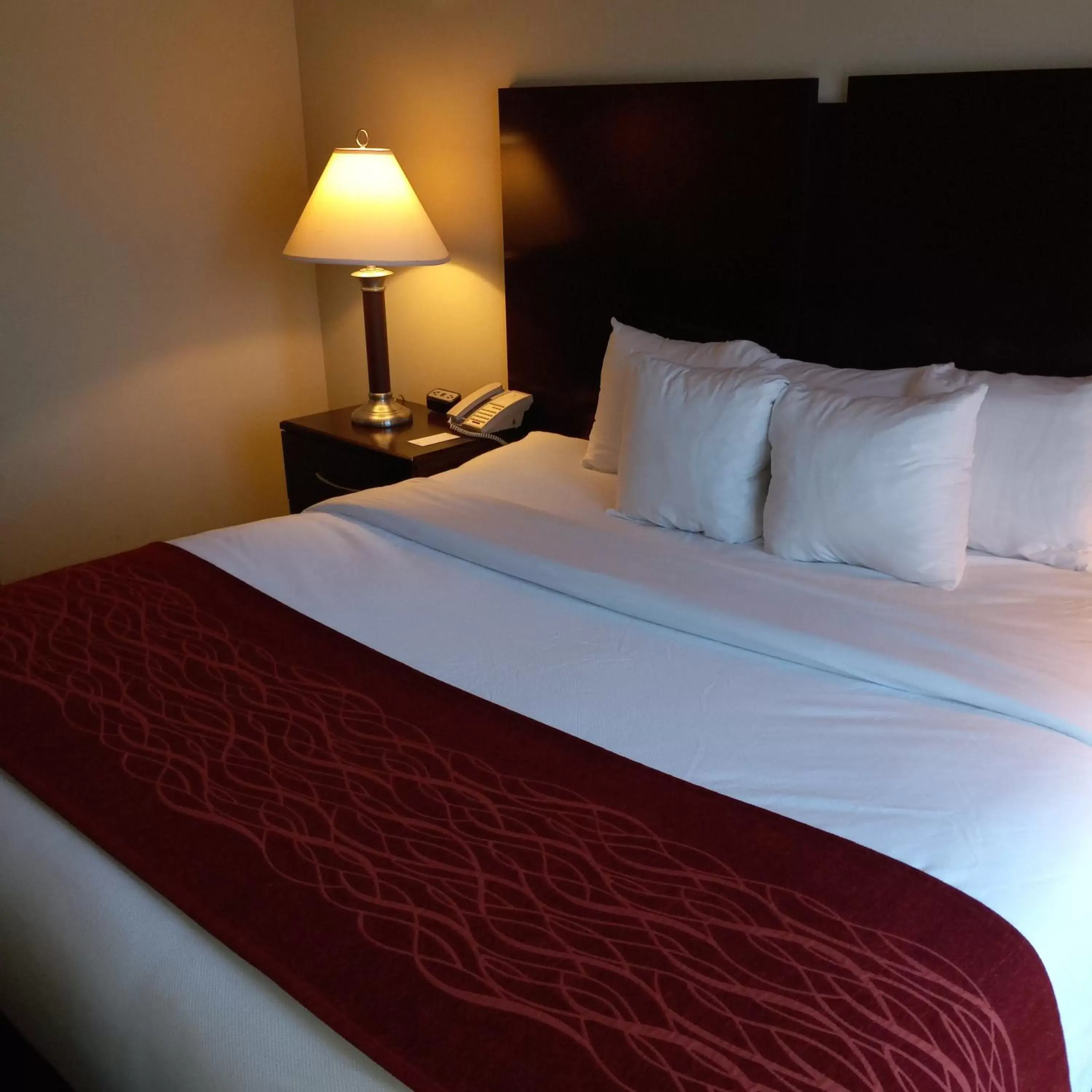 Bedroom, Bed in Comfort Inn & Suites Tunkhannock