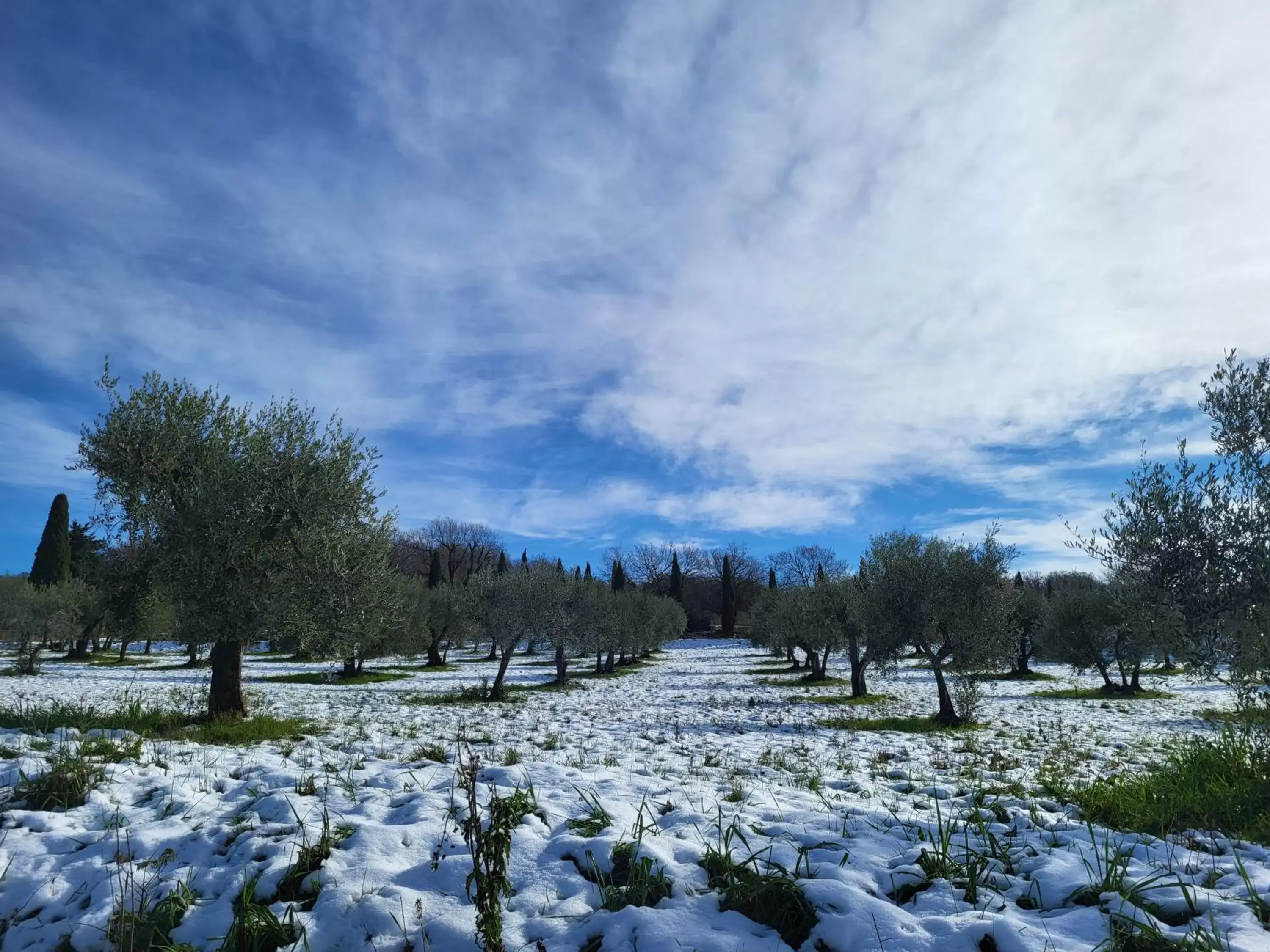 Winter in Palazzetto del Pittore