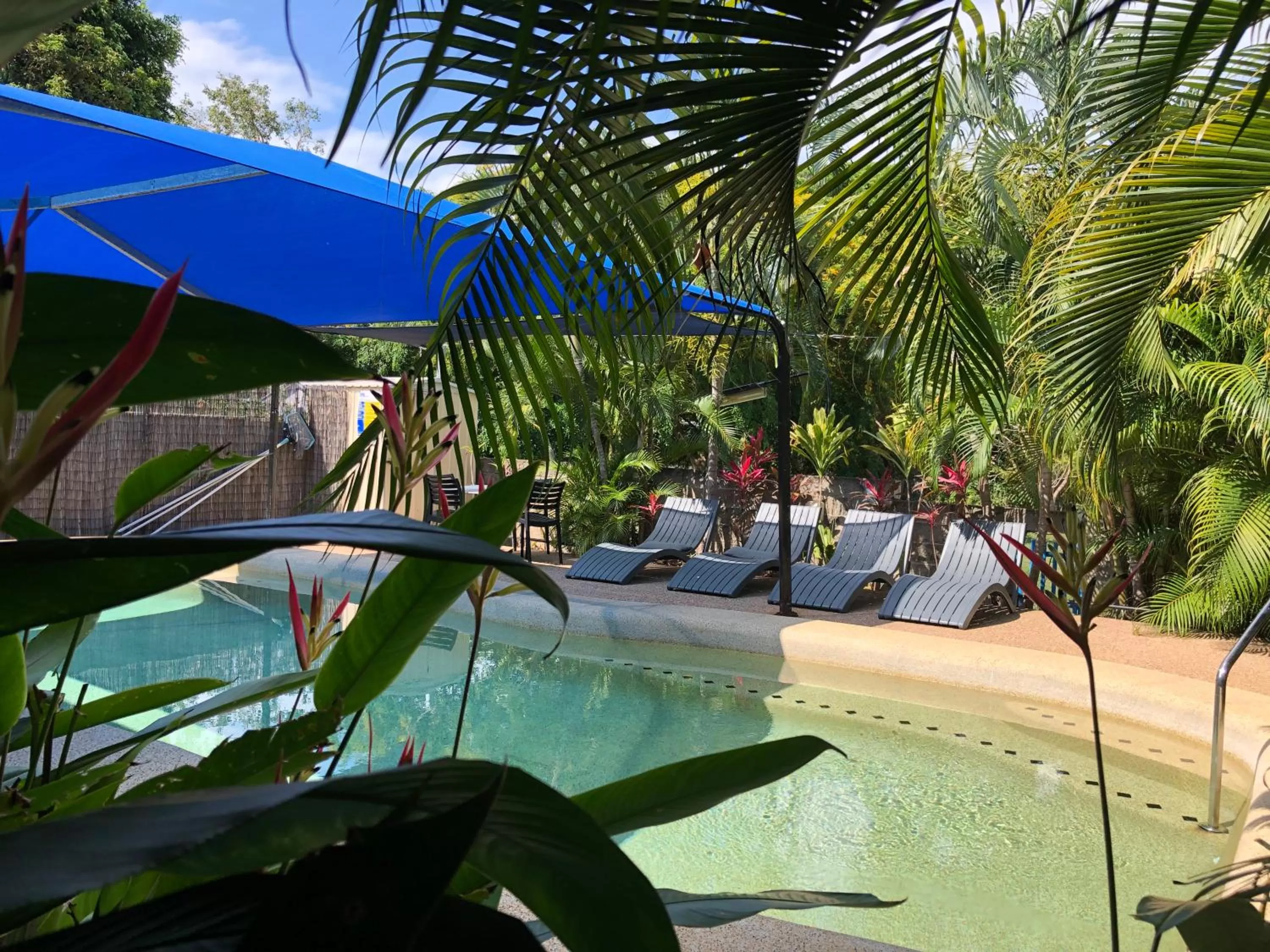 Swimming pool in Tropical Palms Resort & 4WD Hire