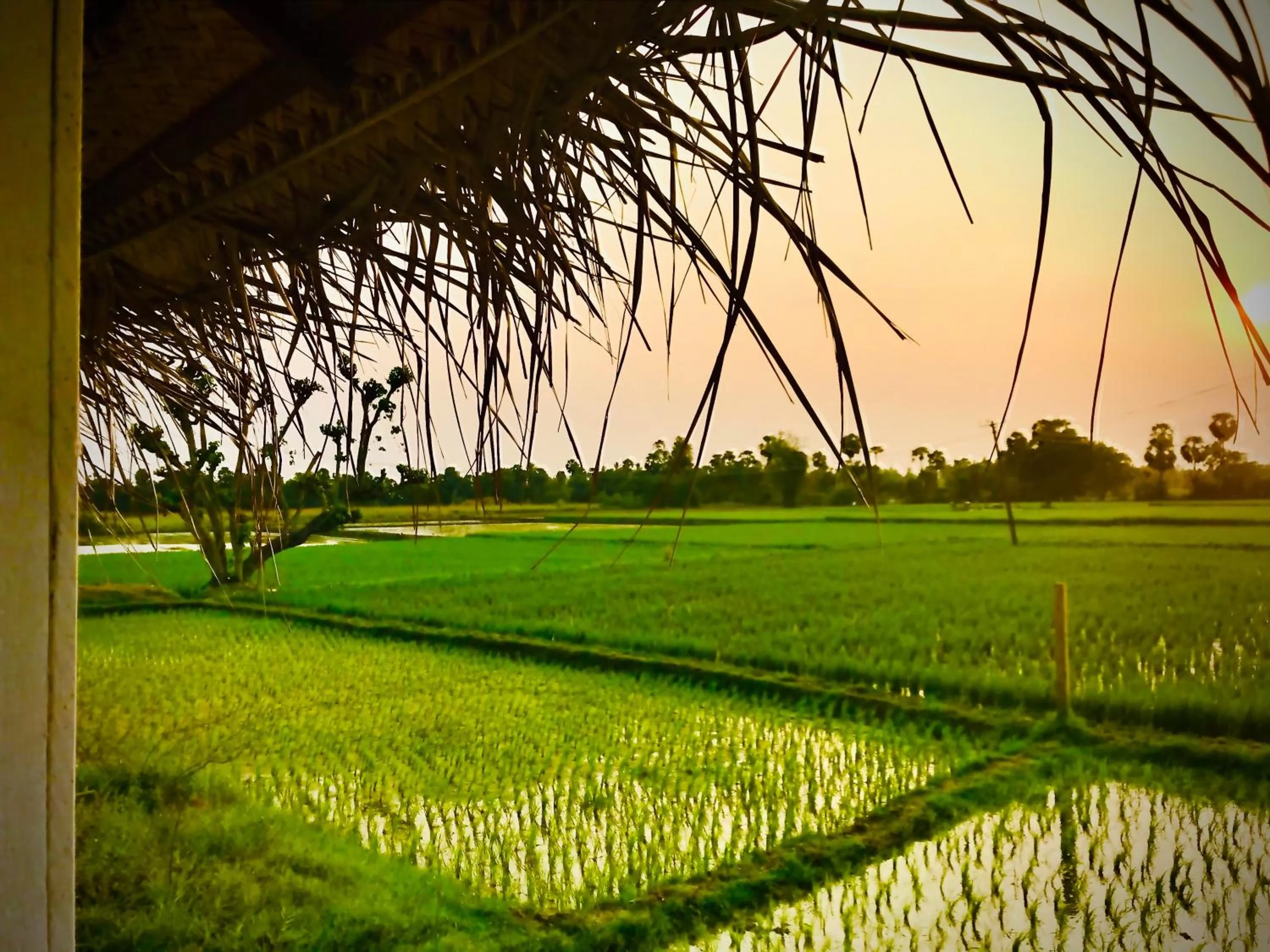 Neighbourhood in Marutham Village Resort