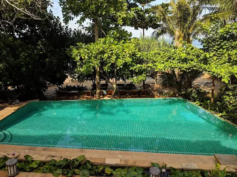 Swimming Pool in The Narima - SHA Plus